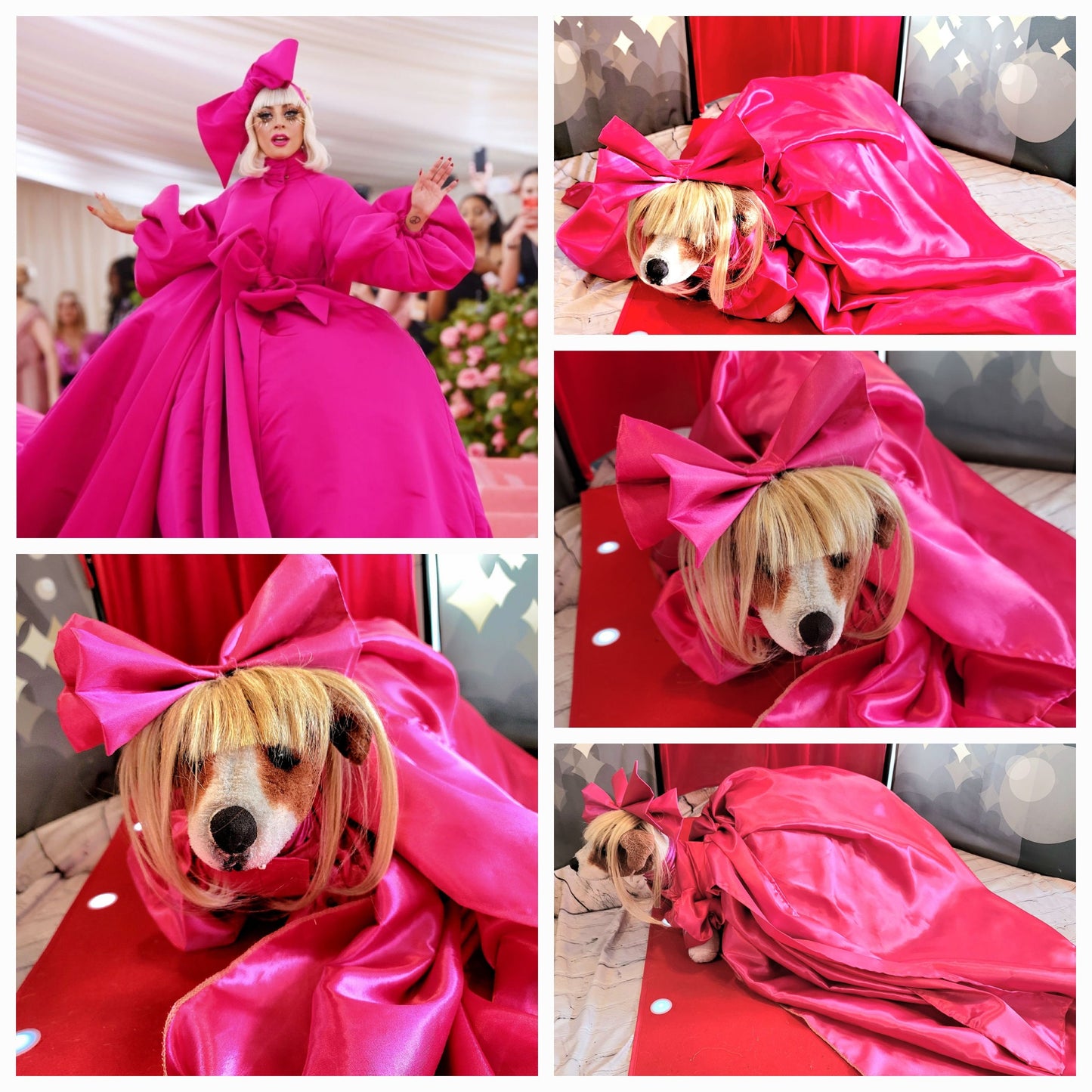 - Lady Gaga pink pet costume, lady gaga dog costume, mutt gala pet costume, Lady Gaga pet Halloween costume, pet mett gala replica