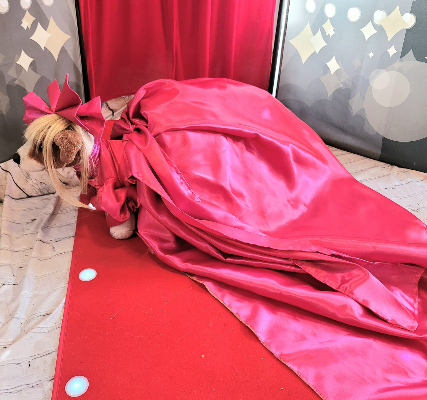 - Lady Gaga pink pet costume, lady gaga dog costume, mutt gala pet costume, Lady Gaga pet Halloween costume, pet mett gala replica