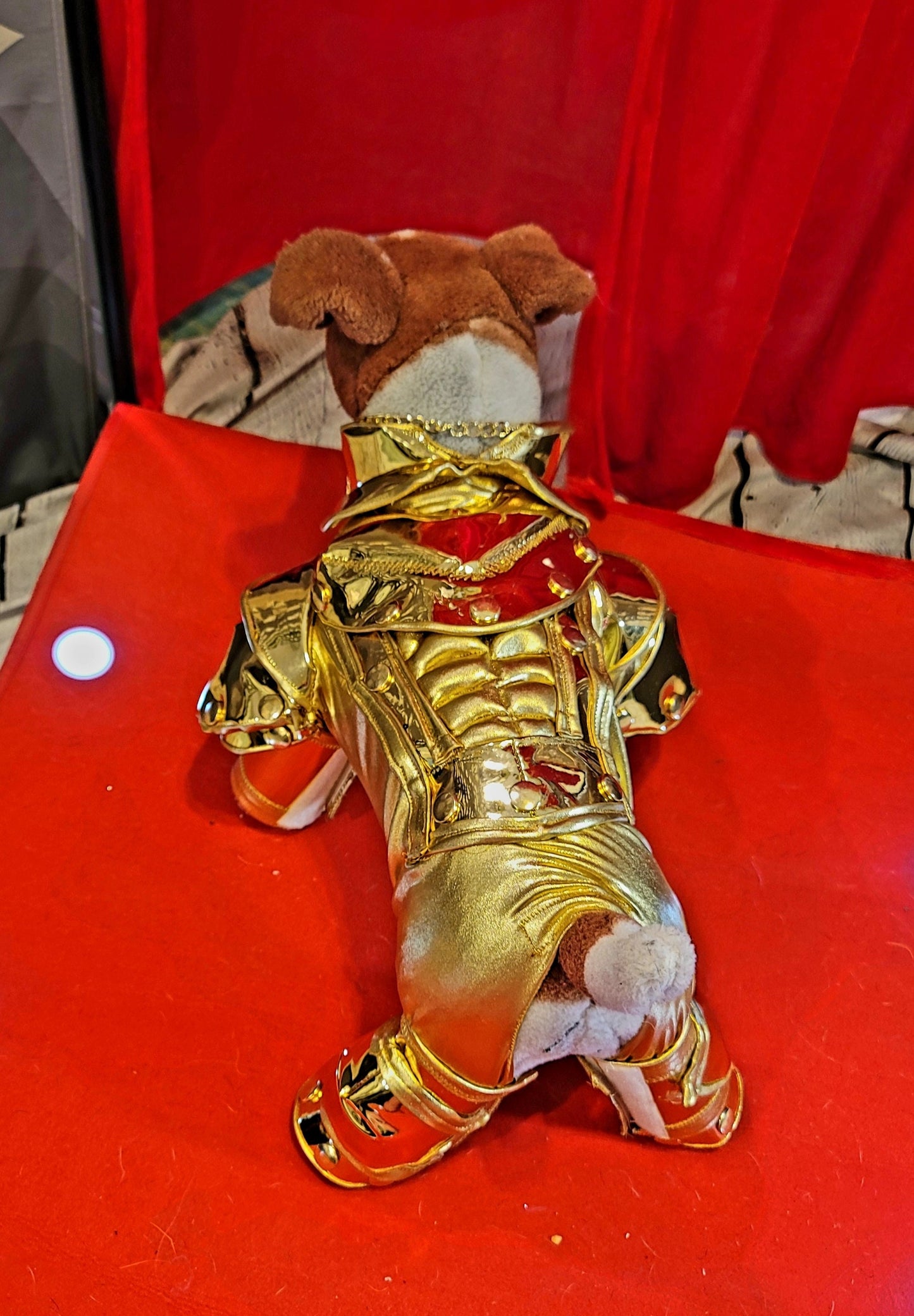 - Gold armour pet costume, Gold armour dog costume, Lil Nas X gold pet costume, mutt gala pet costume, gold robotic pet costume, c3po pet