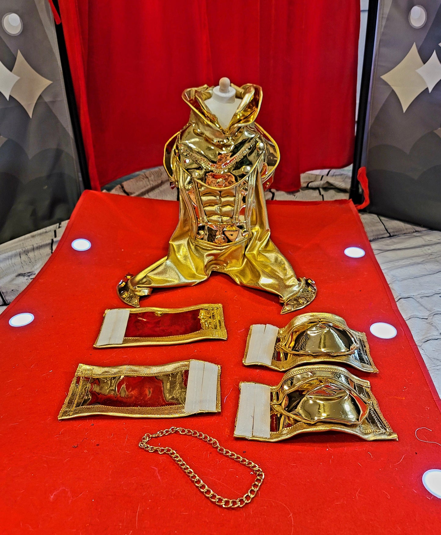 - Gold armour pet costume, Gold armour dog costume, Lil Nas X gold pet costume, mutt gala pet costume, gold robotic pet costume, c3po pet