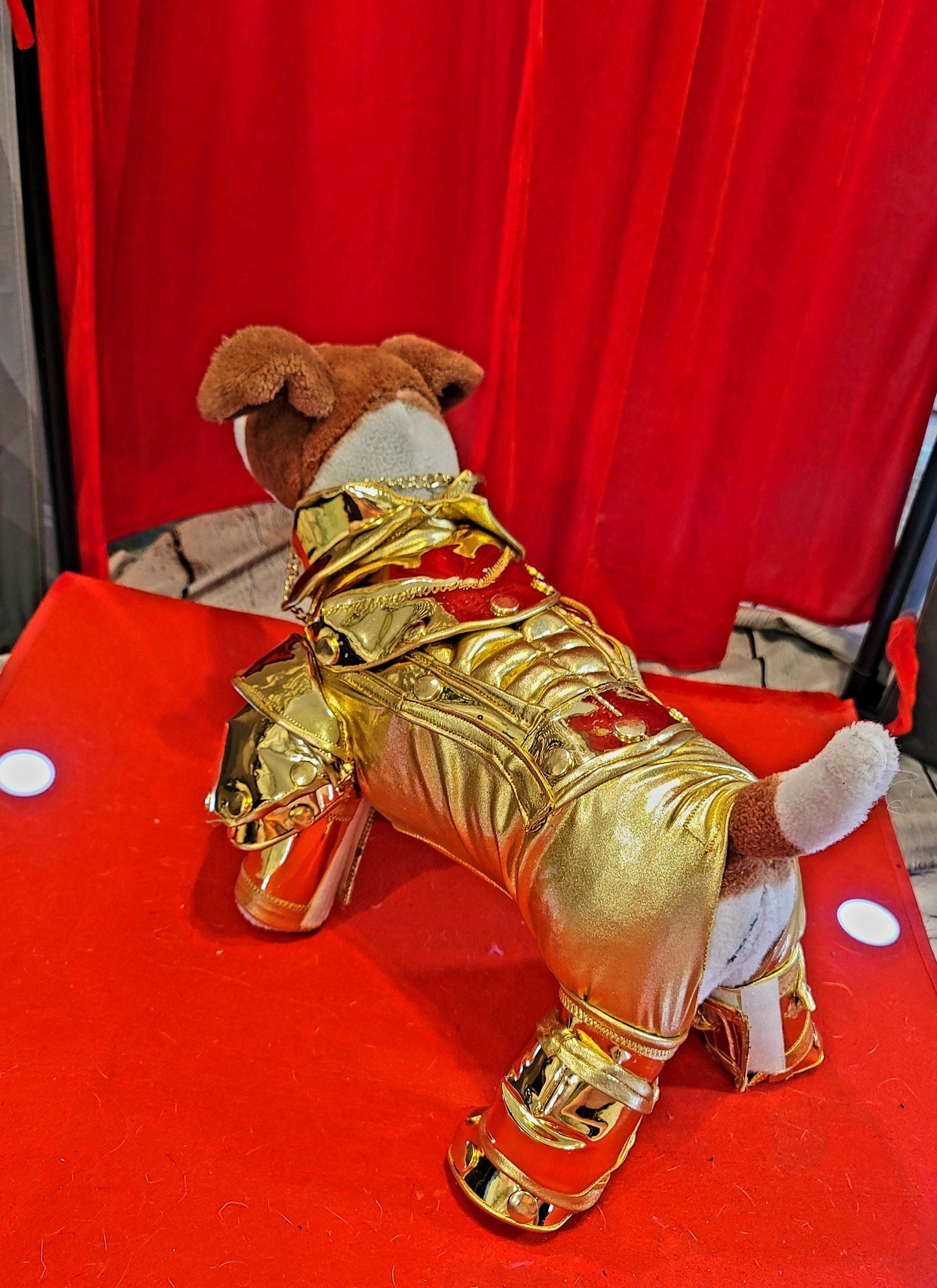 - Gold armour pet costume, Gold armour dog costume, Lil Nas X gold pet costume, mutt gala pet costume, gold robotic pet costume, c3po pet