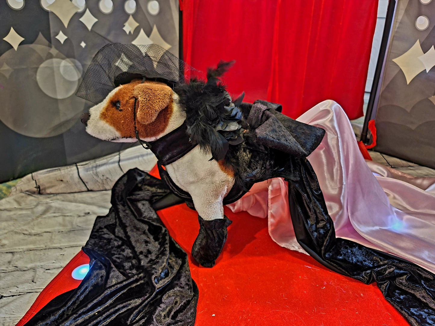 J-Lo pet cutout dress, J-Lo pet costume, J-Lo dog costume, Mutt gala pet costume, Jennifer Lopez pet costume
