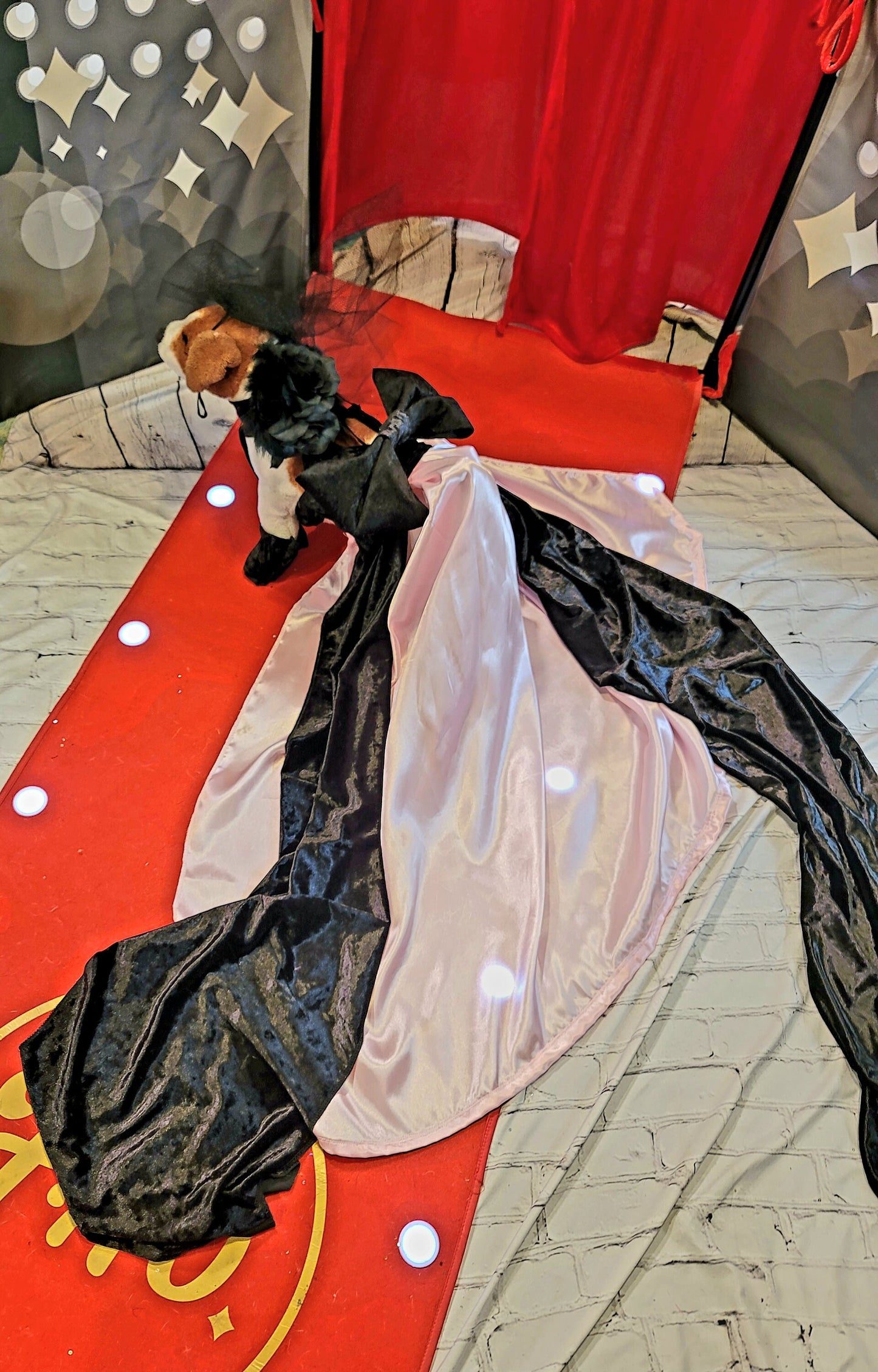 J-Lo pet cutout dress, J-Lo pet costume, J-Lo dog costume, Mutt gala pet costume, Jennifer Lopez pet costume