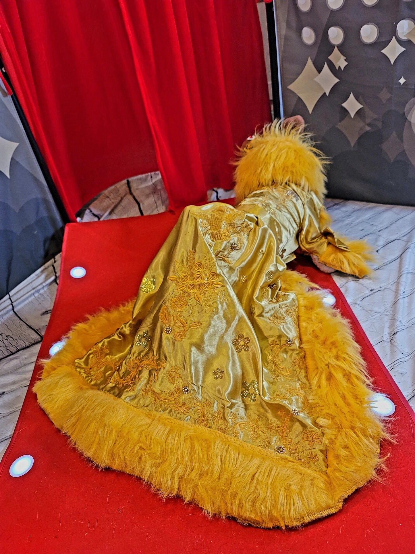 Rihanna pet dress, Rhianna dog costume, Rhianna chinese pet dress, mutt gala pet dress, Rhianna Halloween dog costume