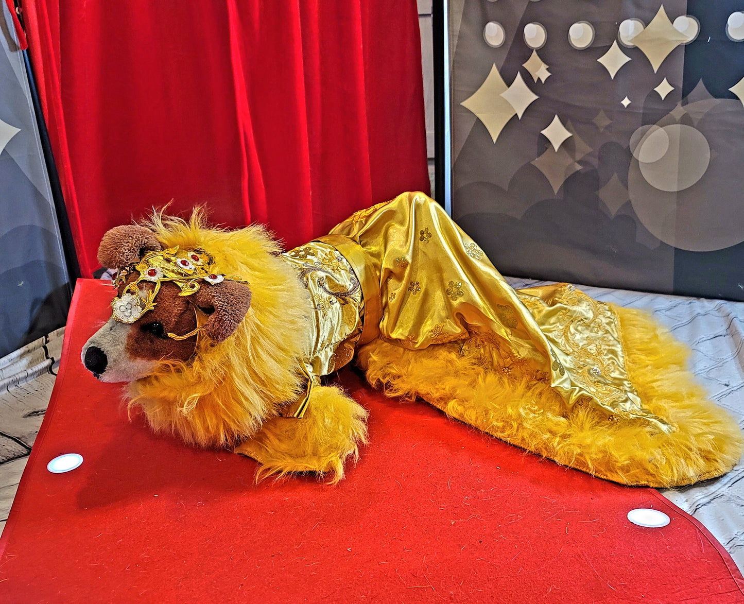 Rihanna pet dress, Rhianna dog costume, Rhianna chinese pet dress, mutt gala pet dress, Rhianna Halloween dog costume