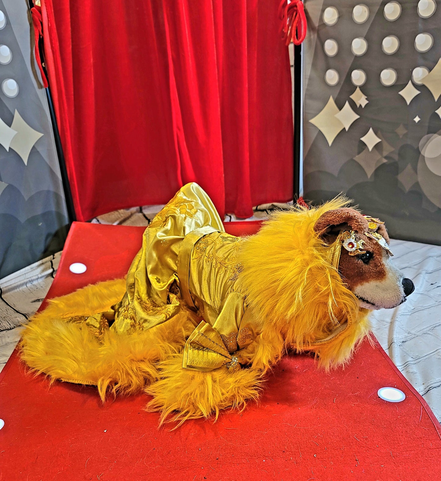 Rihanna pet dress, Rhianna dog costume, Rhianna chinese pet dress, mutt gala pet dress, Rhianna Halloween dog costume