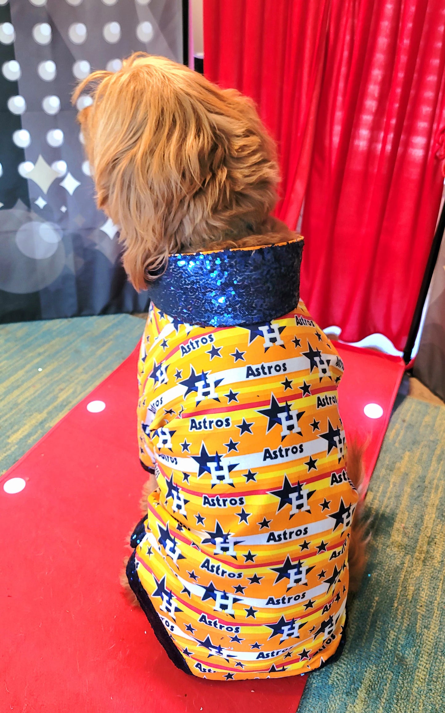 Houston Astros sequin Pet Shirt, Astros Pet shirt, Houston Astros dog shirt, vintage Astros Pet shirt, Astros sequin pet shirt, Astros collar pet