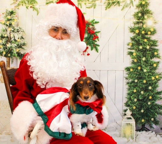 Pet holiday dress, pet Christmas dress, Christmas Pet dresses, Christmas cat dresses, Christmas dog dresses, holiday Pet dresses