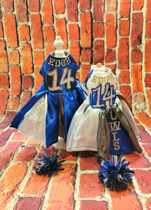 Personalize cheerleading pet dress, diy team pet dress, dog cheerleading dress, pet cheerleading dress, embroidered cheerleading dress