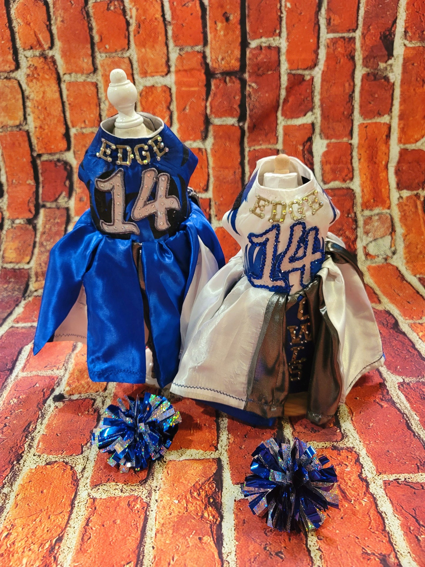 Personalize cheerleading pet dress, diy team pet dress, dog cheerleading dress, pet cheerleading dress, embroidered cheerleading dress