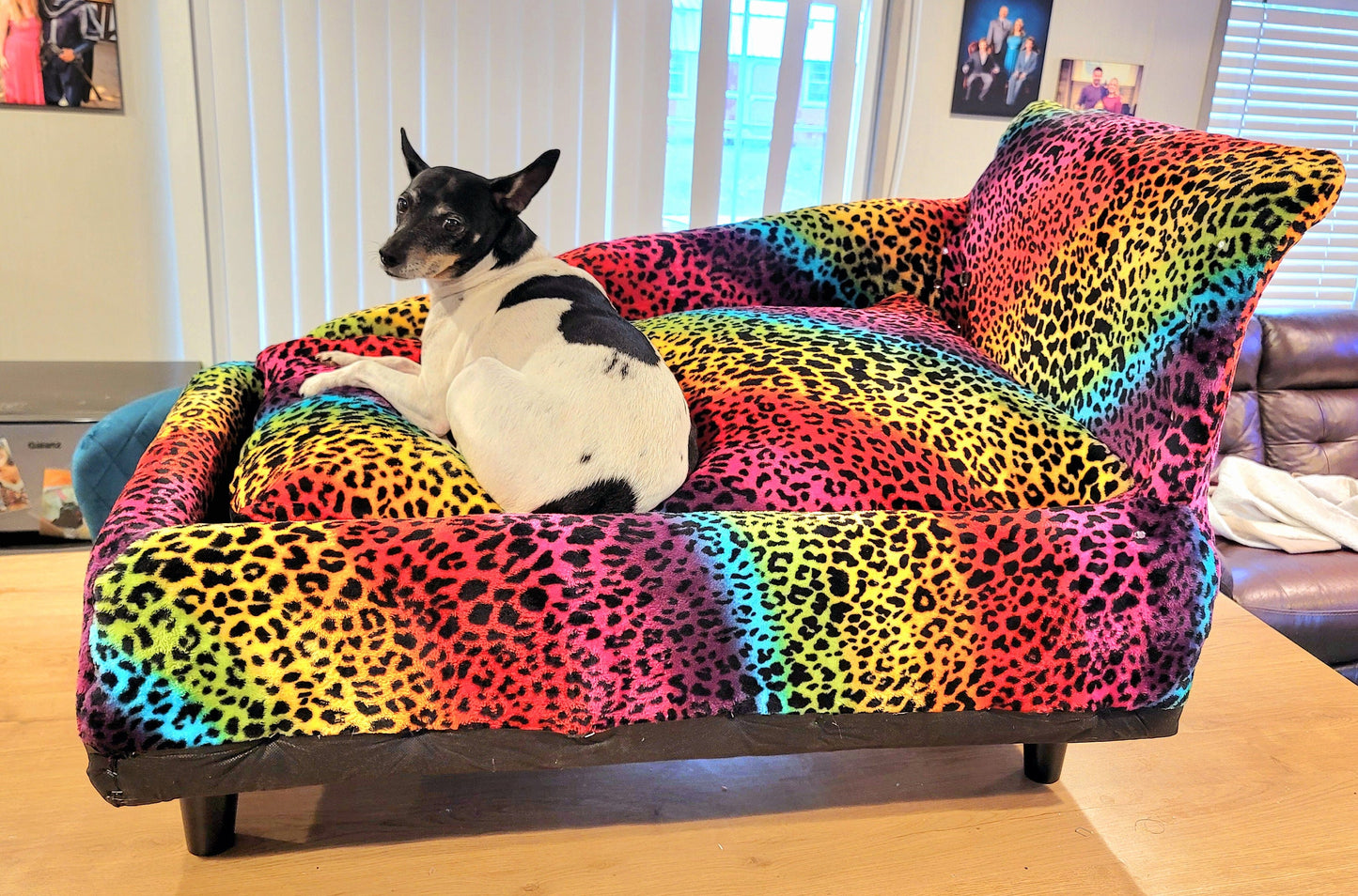 Pet Chaise Lounge, Rainbow Chaise Bed, Pet Chaise Bed, Dog Chaise, Cat Chaise Pet Furniture, Chaise furniture for pets