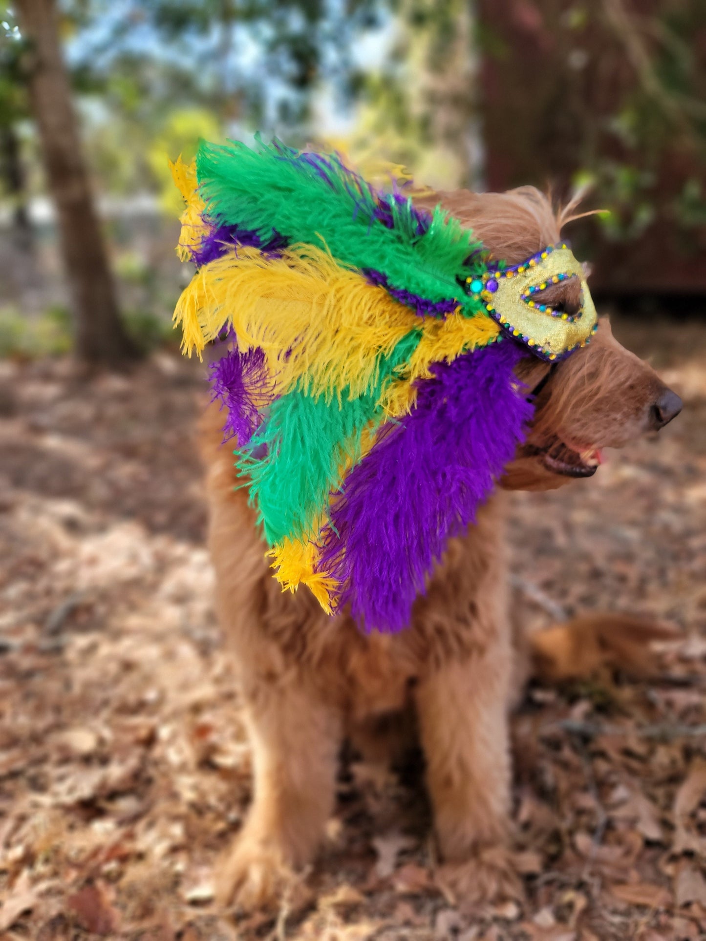 Mardi Gras Pet Masks, Mardi Gras Dog Mask, Fat Tuesday Dog Mask, Fat Tuesday Pet Mask, Mardi Gras Cat Mask, Pet Costume Mask, Dog Mask Inactive