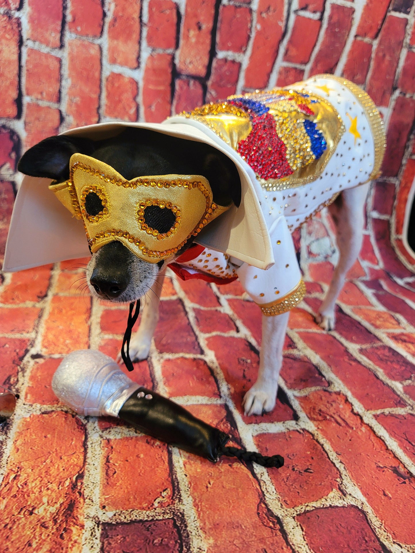 - Elvis pet costume, Elvis eagle pet jacket costume