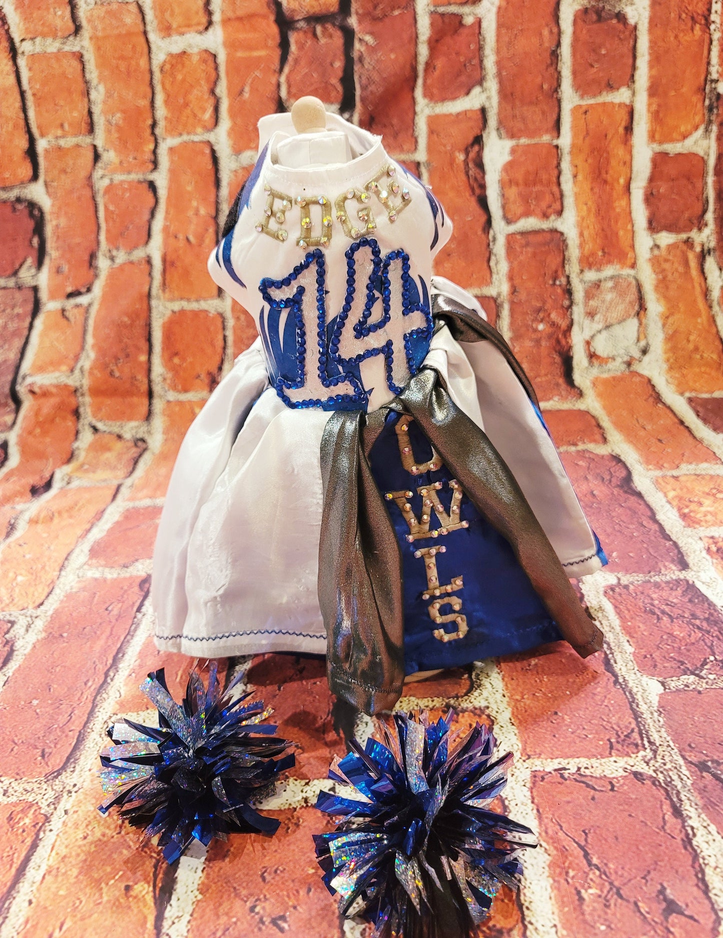 Personalize cheerleading pet dress, diy team pet dress, dog cheerleading dress, pet cheerleading dress, embroidered cheerleading dress