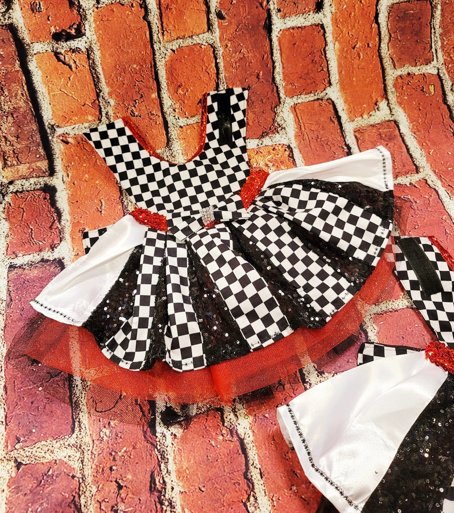 - Racer sequin pet costume, racer glitter dog costume, race car driver pet dress, raceway pet dress, race car driver dog costume, racer cat costume