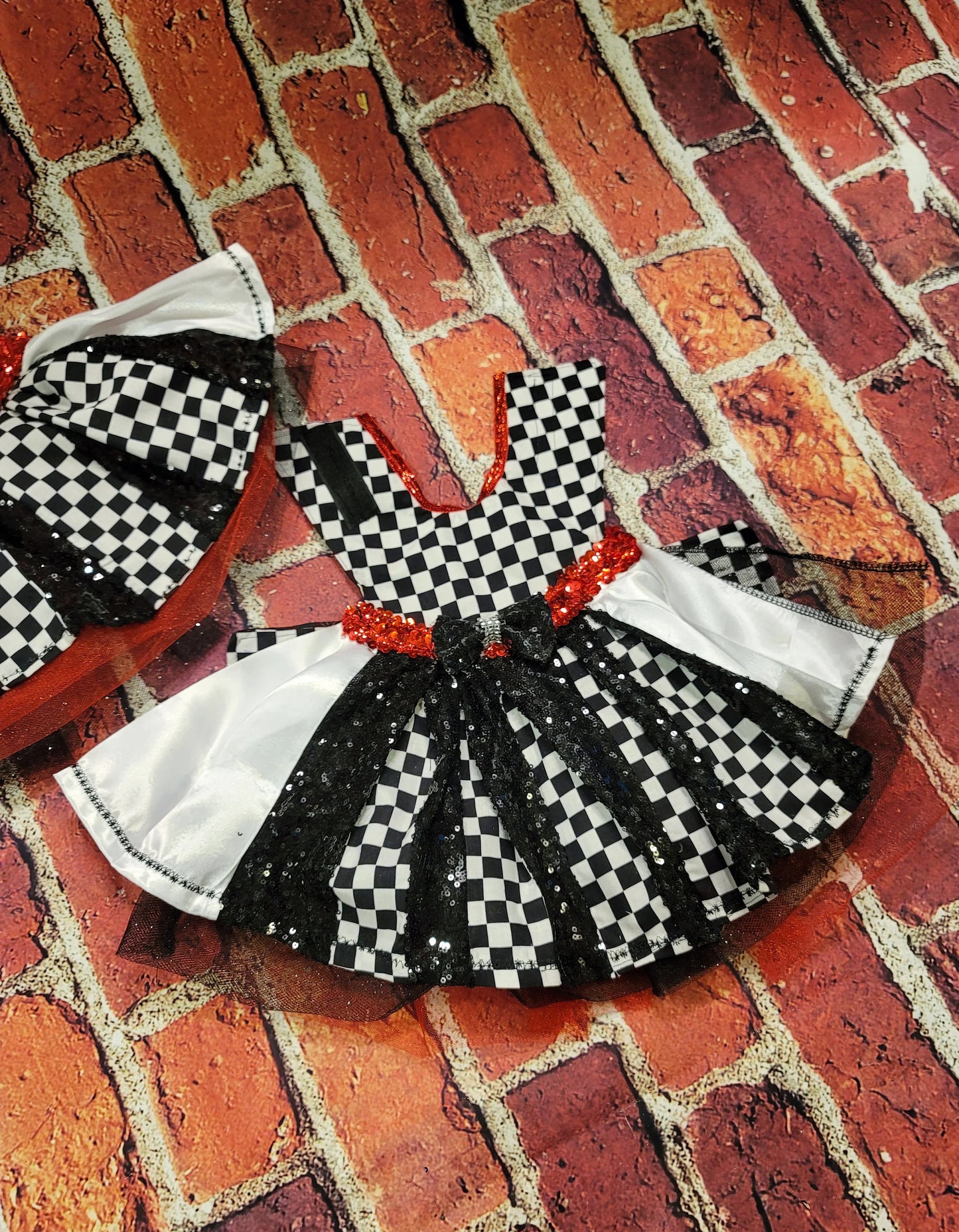 - Racer sequin pet costume, racer glitter dog costume, race car driver pet dress, raceway pet dress, race car driver dog costume, racer cat costume