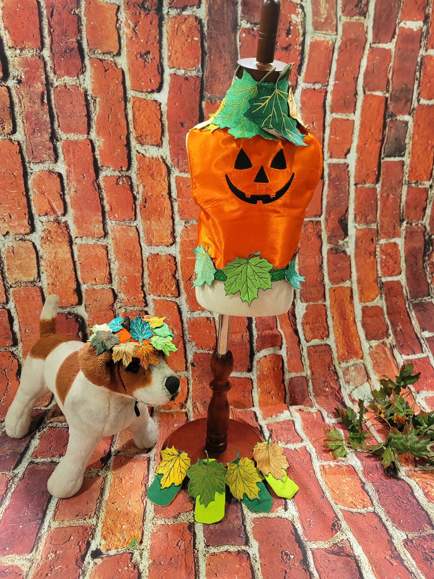 - Pumpkin Halloween Pet Costume, Pet Halloween Costumes, Girl Pumpkin Pet costume, boy Halloween Pet costume, Dog Pumpkin costume, cat costume