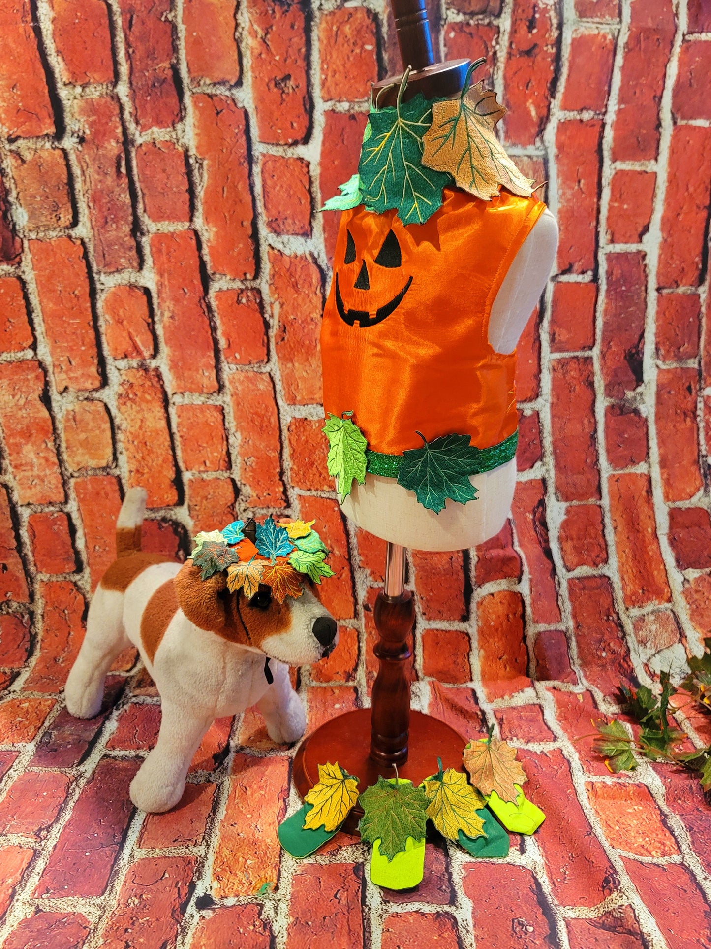 - Pumpkin Halloween Pet Costume, Pet Halloween Costumes, Girl Pumpkin Pet costume, boy Halloween Pet costume, Dog Pumpkin costume, cat costume