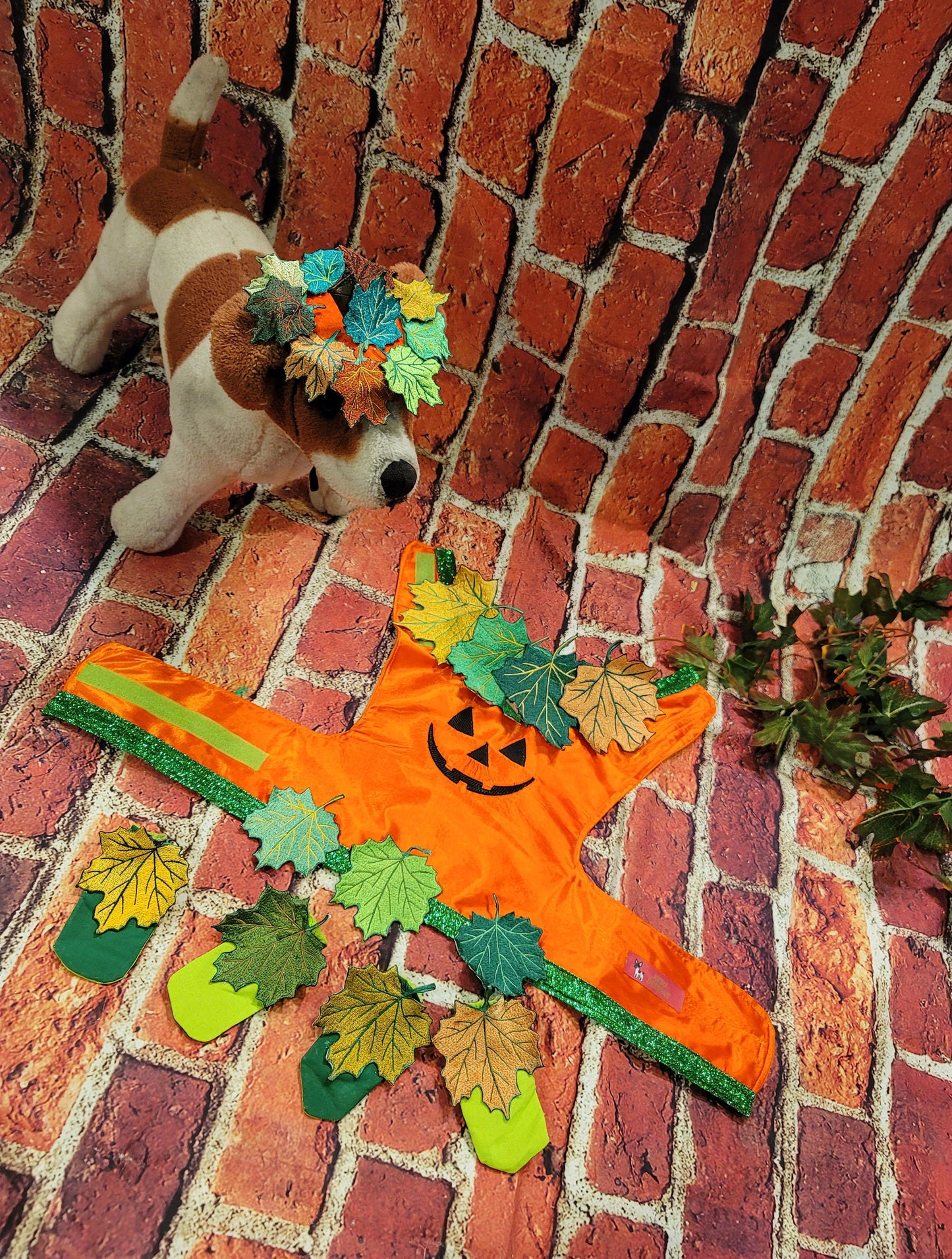 - Pumpkin Halloween Pet Costume, Pet Halloween Costumes, Girl Pumpkin Pet costume, boy Halloween Pet costume, Dog Pumpkin costume, cat costume
