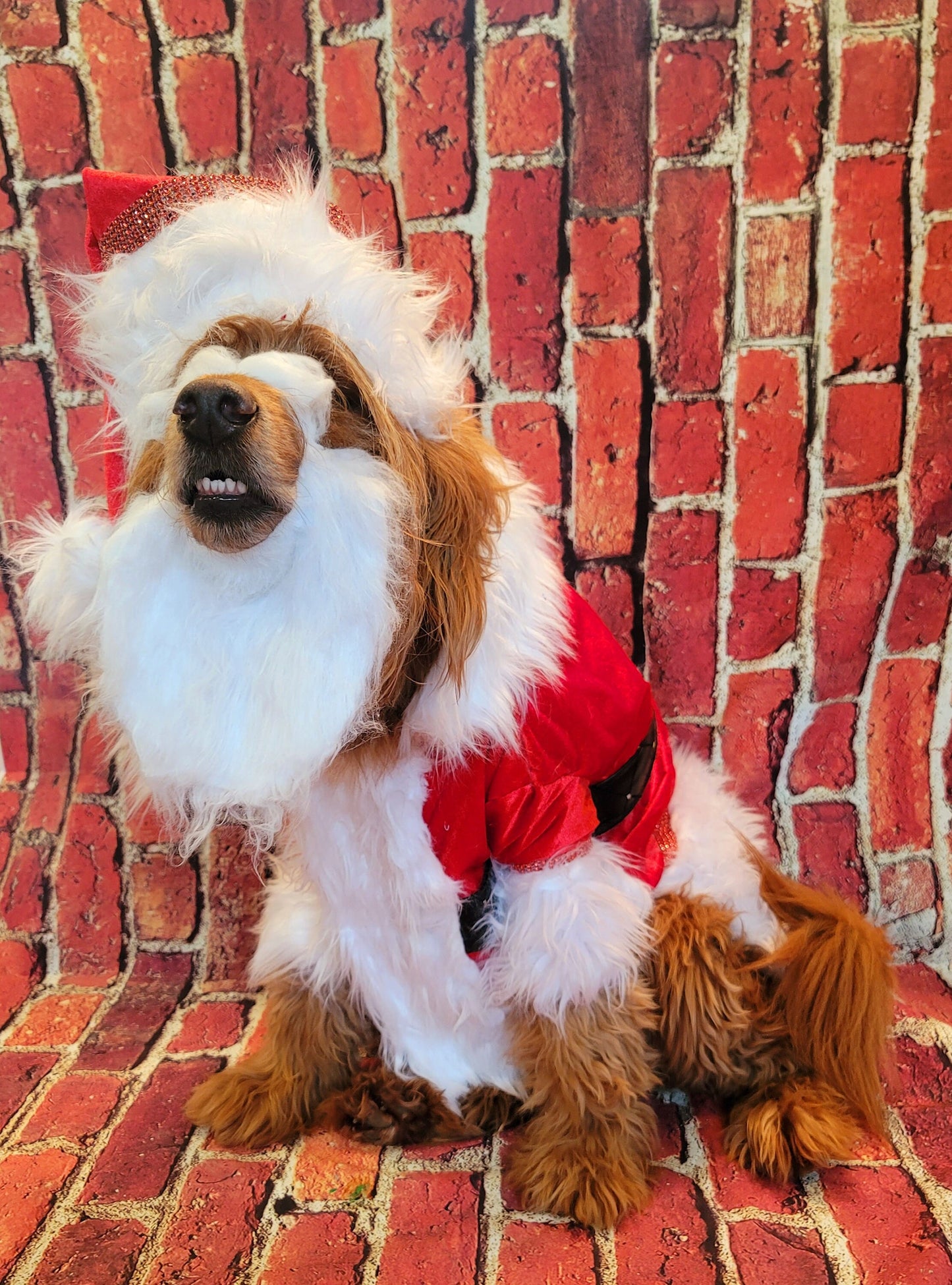 Santa Claus Pet beard and hat, Santa Claus dog beard and hat, Santa Claus Cat beard and hat, pet Santa hat and beard, dog Santa hat