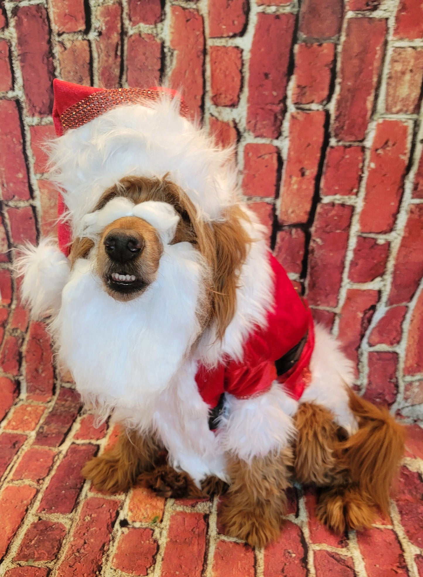 Santa Claus Pet beard and hat, Santa Claus dog beard and hat, Santa Claus Cat beard and hat, pet Santa hat and beard, dog Santa hat