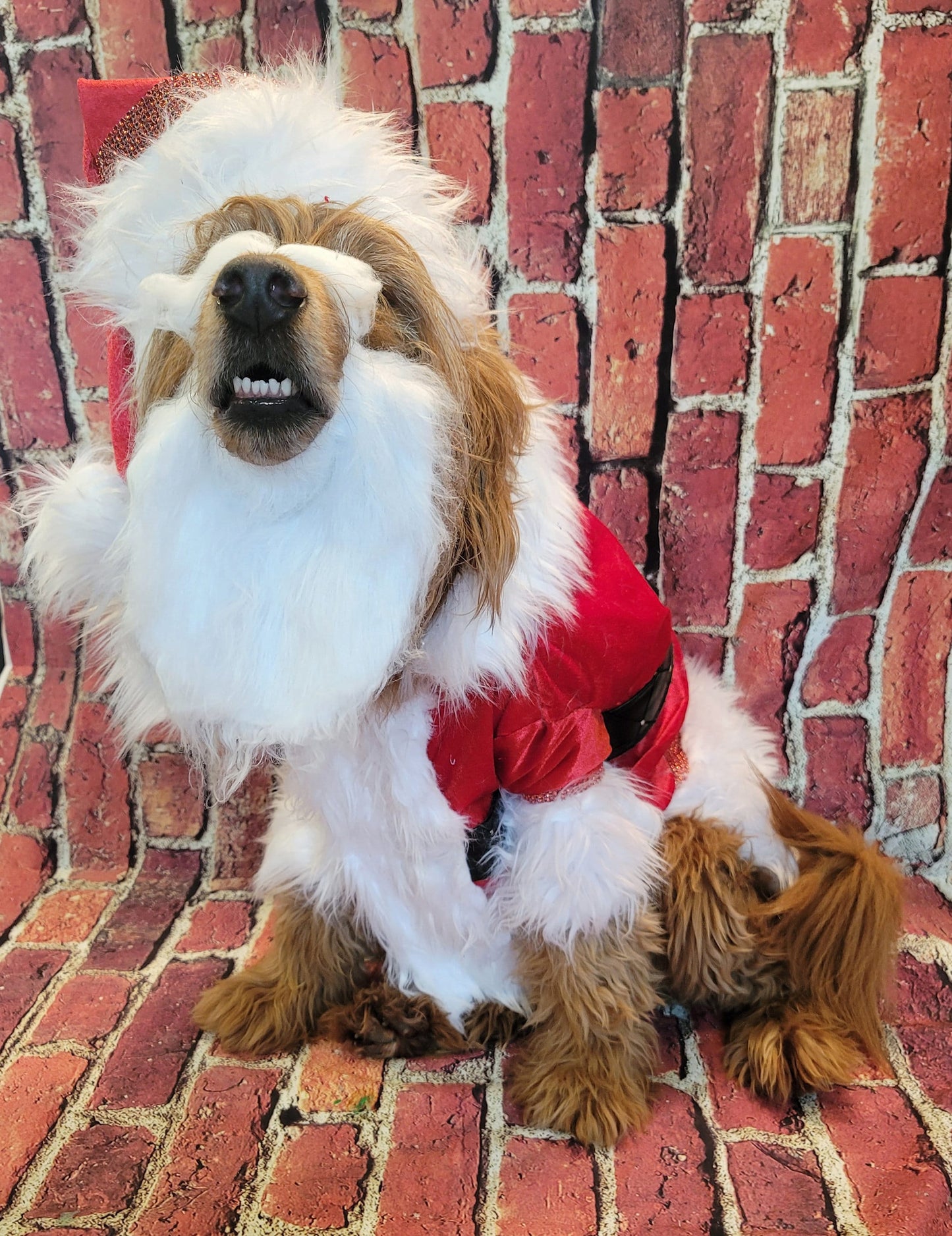 Santa Claus Pet beard and hat, Santa Claus dog beard and hat, Santa Claus Cat beard and hat, pet Santa hat and beard, dog Santa hat
