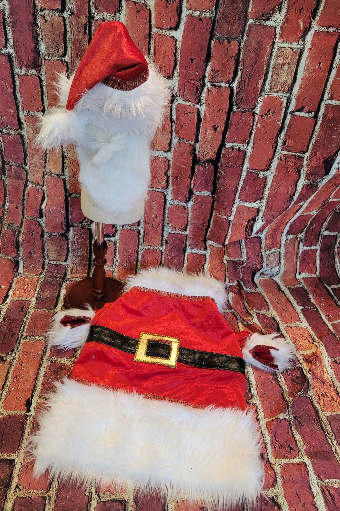 Pet Santa shirt and hat, santa dog shirt hat, santa pet costume, santa cat costume, dog santa costume, Christmas pet costume,