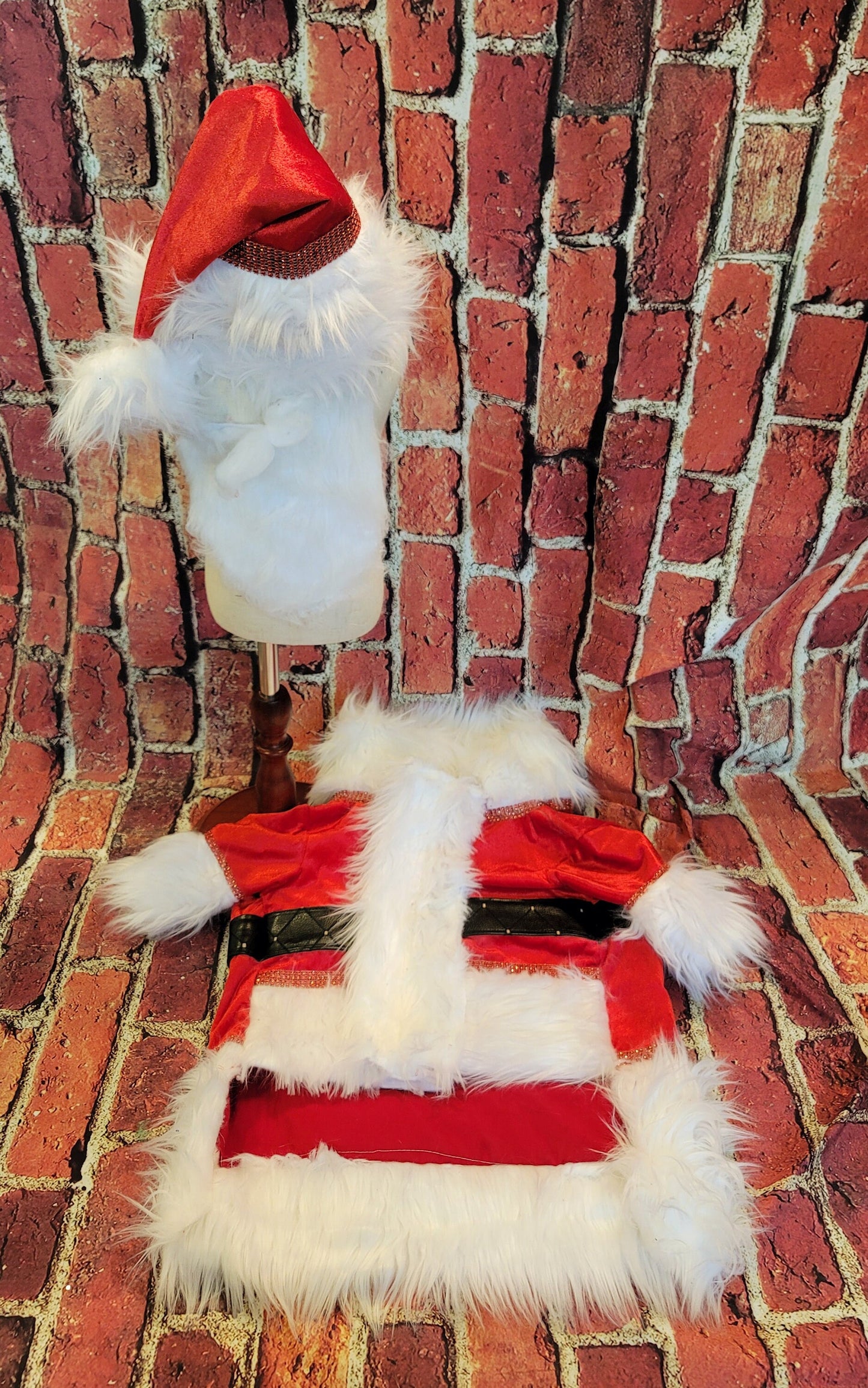 Pet Santa shirt and hat, santa dog shirt hat, santa pet costume, santa cat costume, dog santa costume, Christmas pet costume,