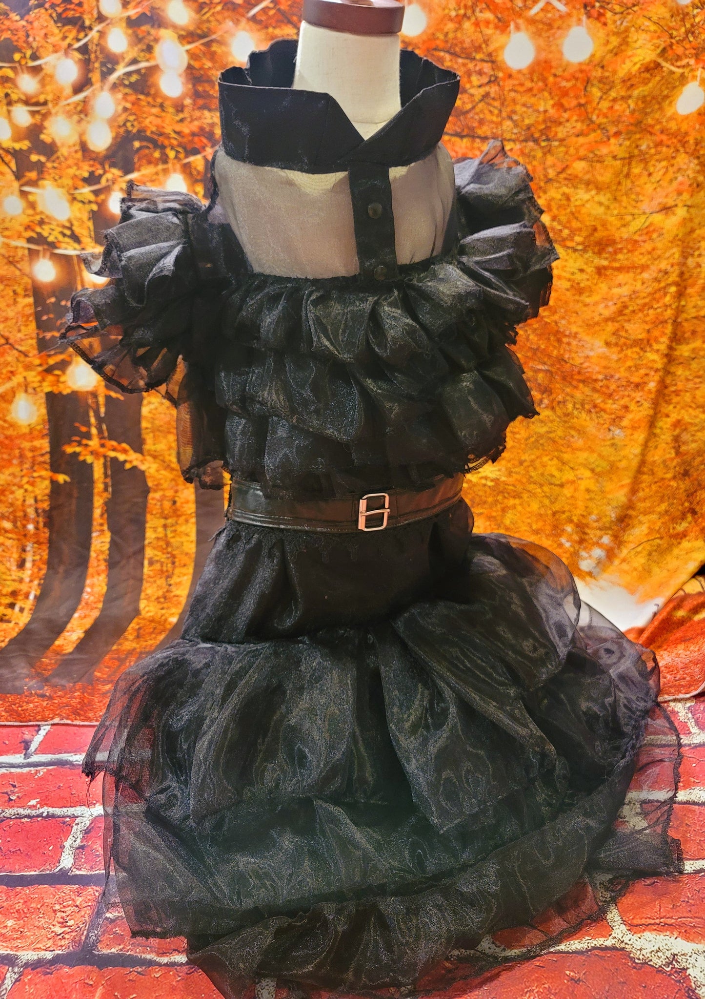 - Wednesday Raven Pet Prom dress, Wednesday Pet Costume, Wednesday Raven Dog dress, Wednesday dog costume, Wednesday Cat Dress, Raven Pet