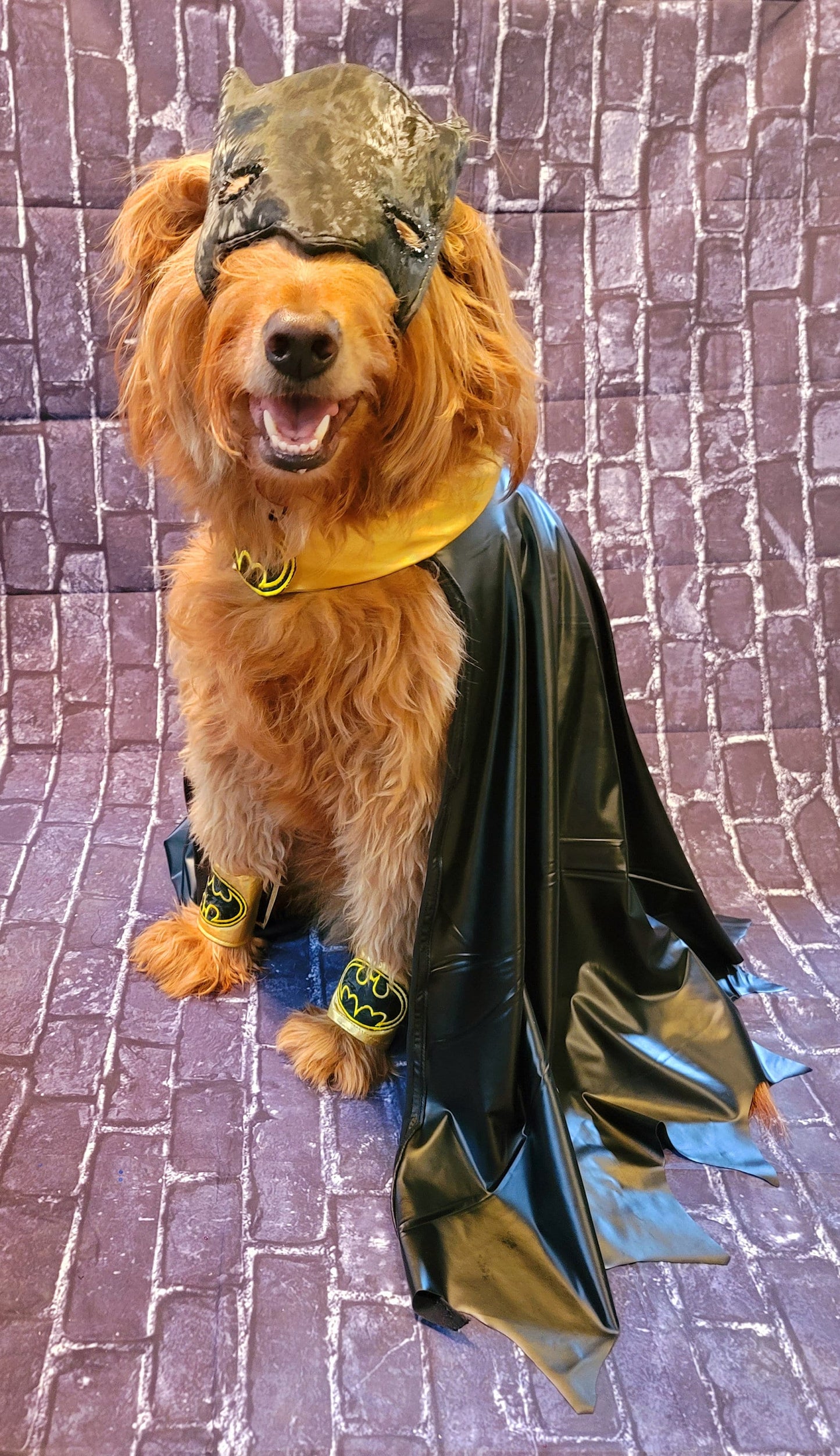 Batman pet costume, Batman dog costume, Batman cat costume, Batman pet cape, Batman Halloween costume, pet Batman, dog Batman costume