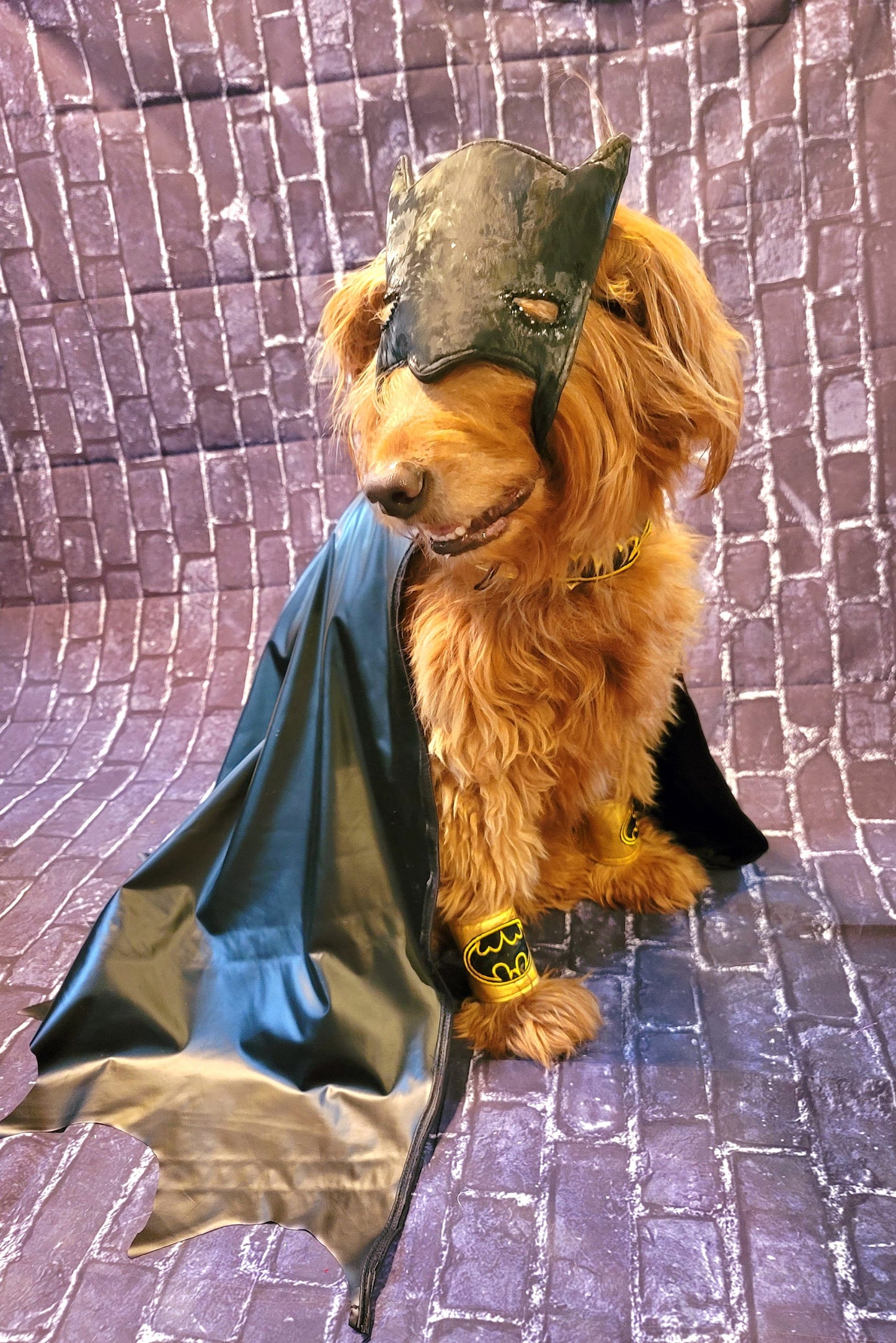 Batman pet costume, Batman dog costume, Batman cat costume, Batman pet cape, Batman Halloween costume, pet Batman, dog Batman costume