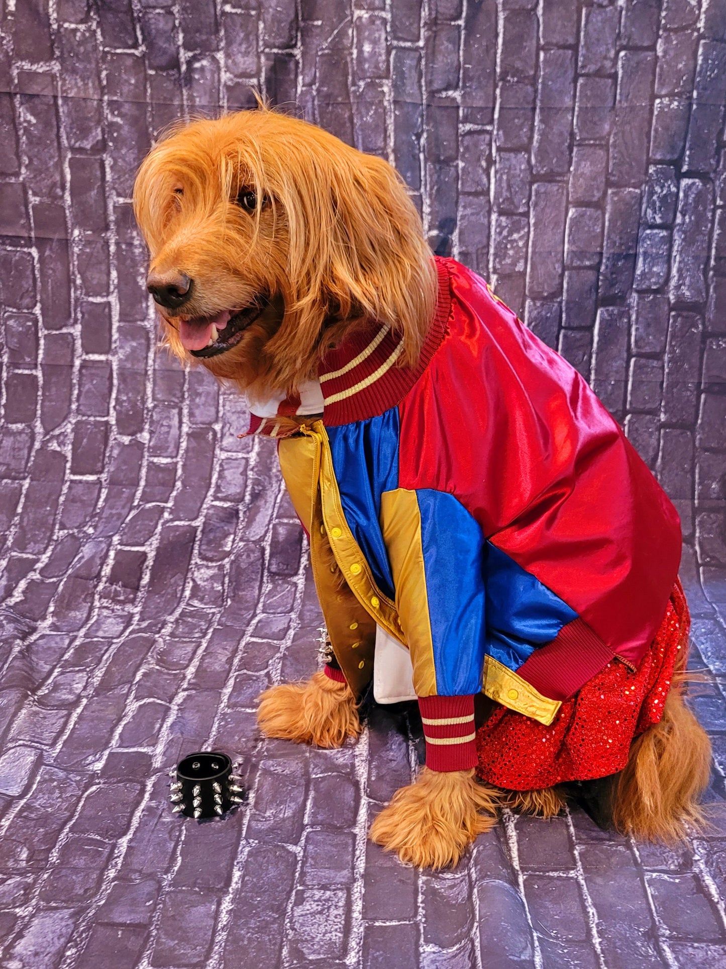 - Harley Quinn pet costume, Harley Quinn sequin dog costume, Harley Quinn Cat costume