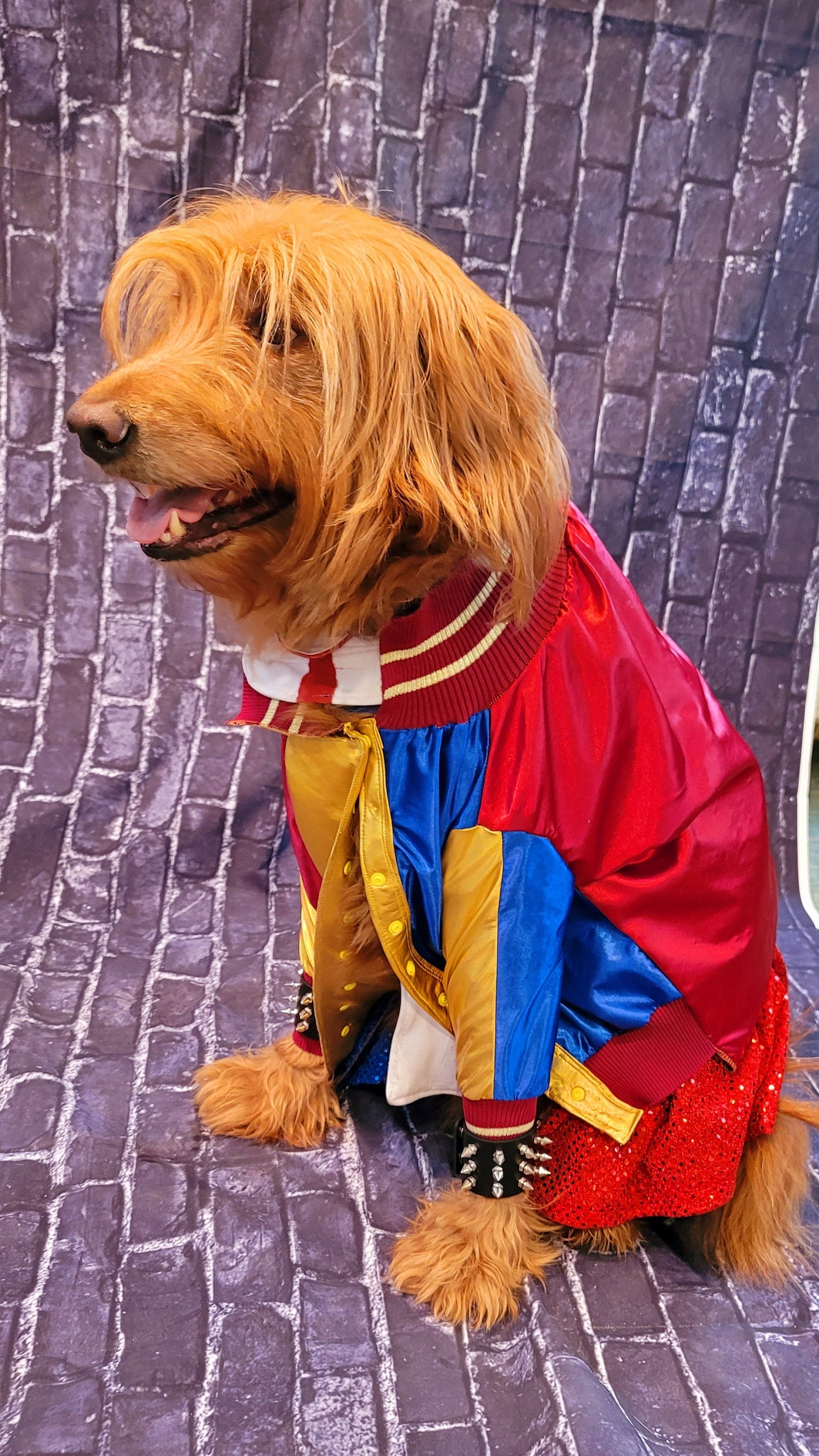 - Harley Quinn pet costume, Harley Quinn sequin dog costume, Harley Quinn Cat costume