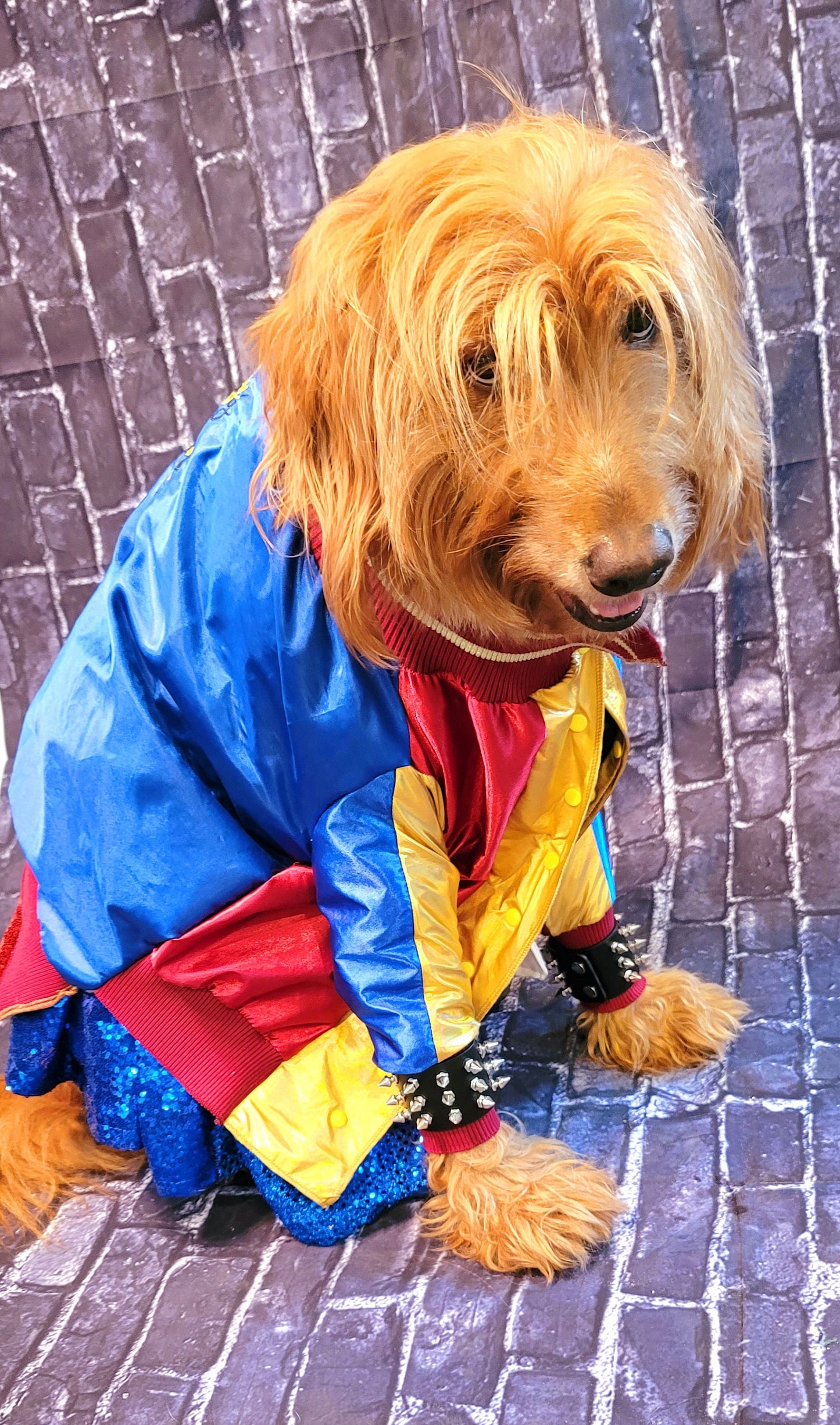- Harley Quinn pet costume, Harley Quinn sequin dog costume, Harley Quinn Cat costume