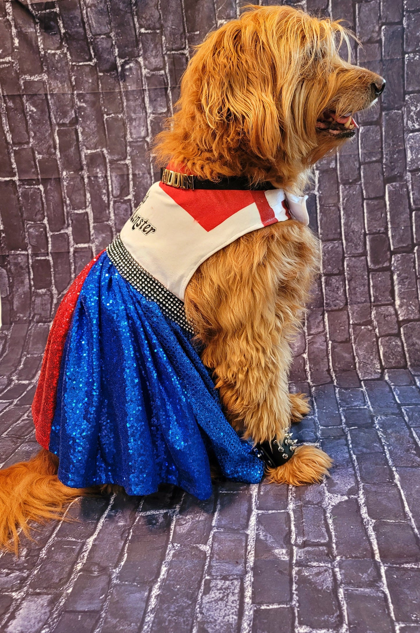 - Harley Quinn pet costume, Harley Quinn sequin dog costume, Harley Quinn Cat costume