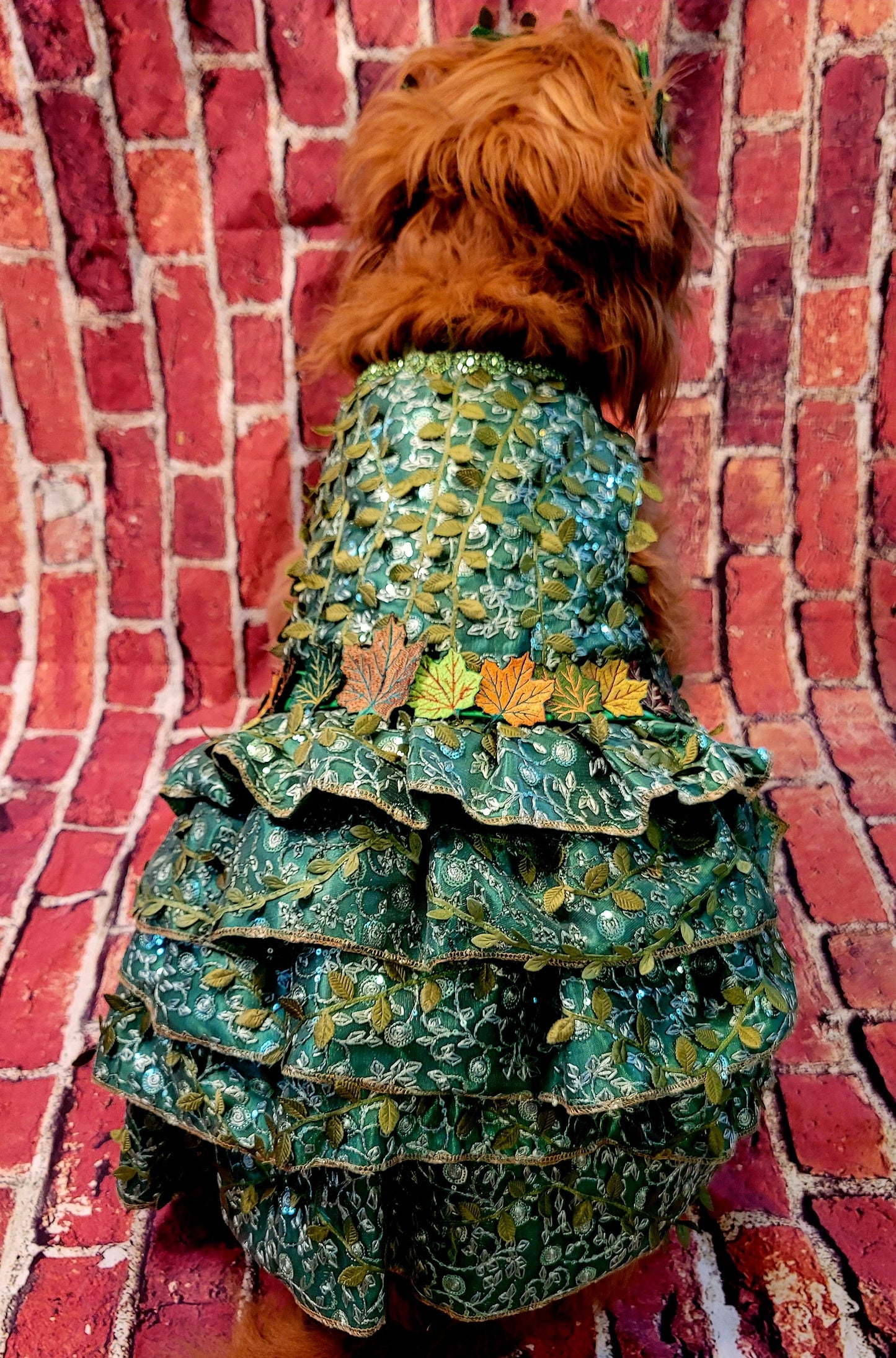 - Poison Ivy Pet Costume, Poison Ivy dog costume, Poision Ivy Cat costume, pet Poison Ivy costume, dog Poison Ivy costume, cat Poison Ivy