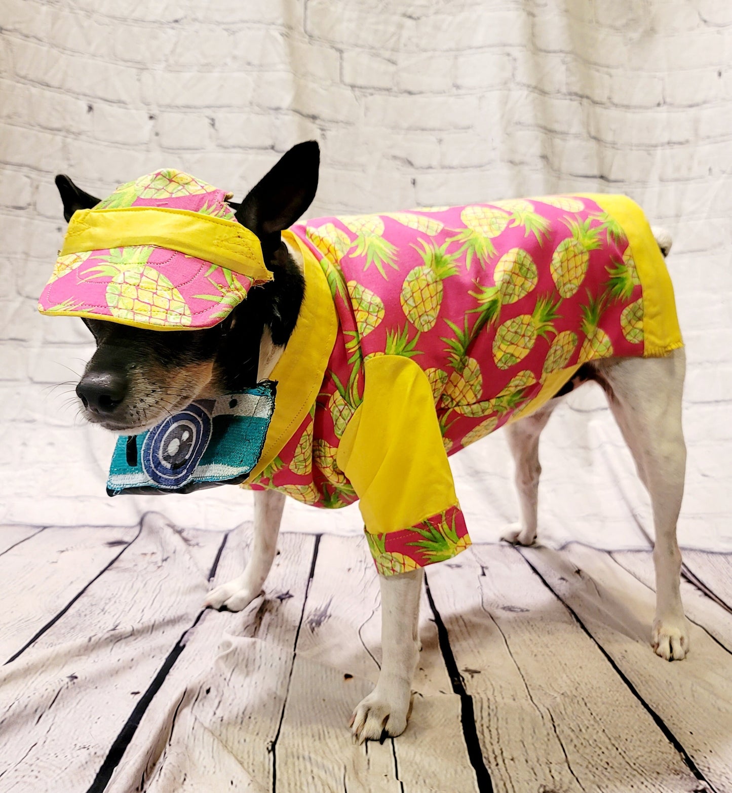 Pet tourist costume, dog tourist costume, pineapple pet shirt, Hawaiian pet costume clothing, male tourist costume, clothes for dogs