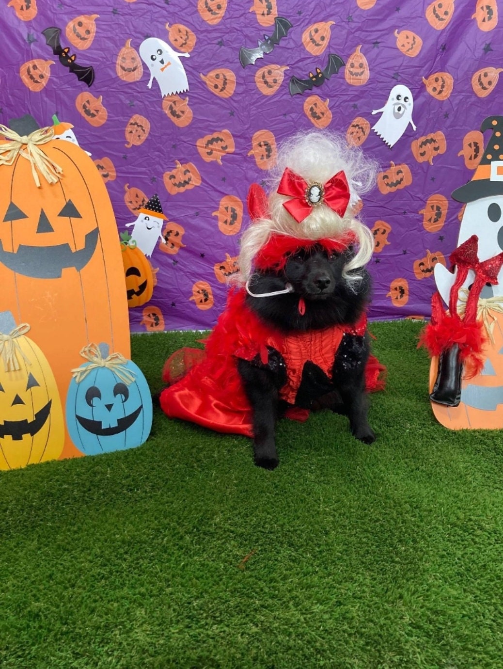 Devil femalePet Costume, Devil Pet Harness, Devil dog Costume, Devil Cat Costume, Halloween Devil Costume, Halloween Pet Costume, Diablo Pet