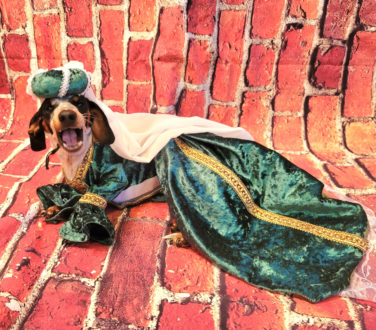-  Renaissance pet dress, Renaissance dog dress, Renaissance cat dress, Medievil pet costume, Medievil pet dress, Medievil pet headdress