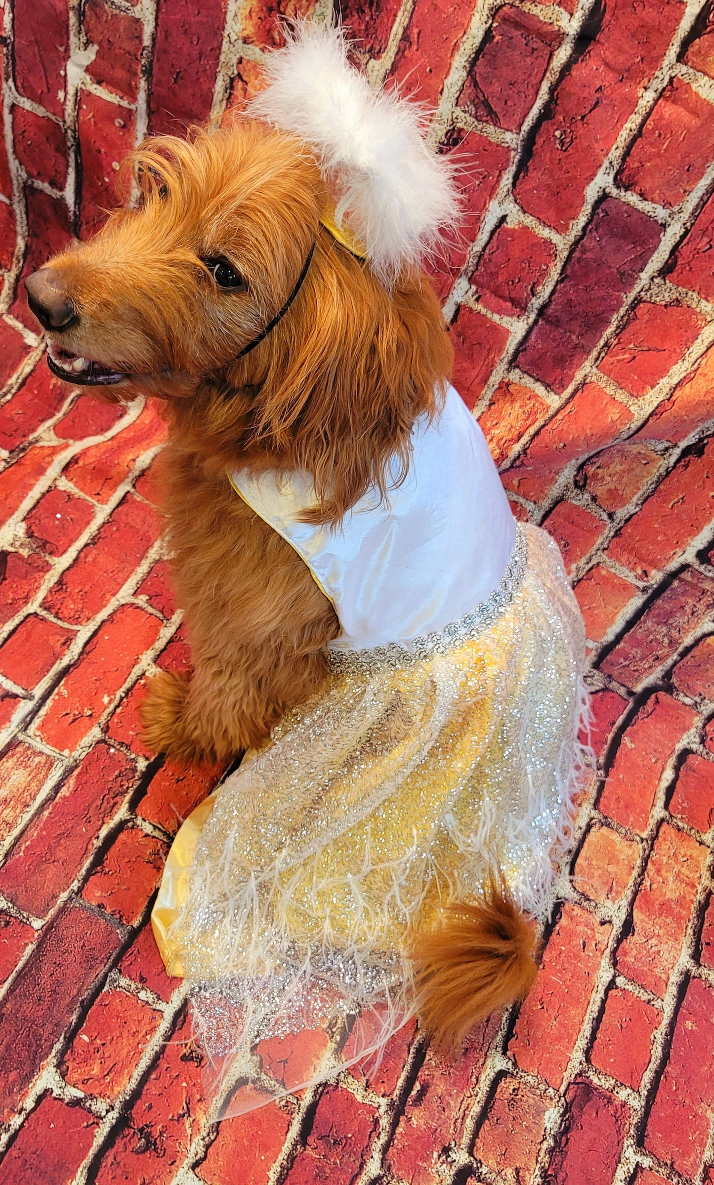 Pet Angel Pet Costume, Angel Pet Harness, Angel dog Costume, Angel Cat Costume, Halloween Angel Costume, Halloween Pet Costume