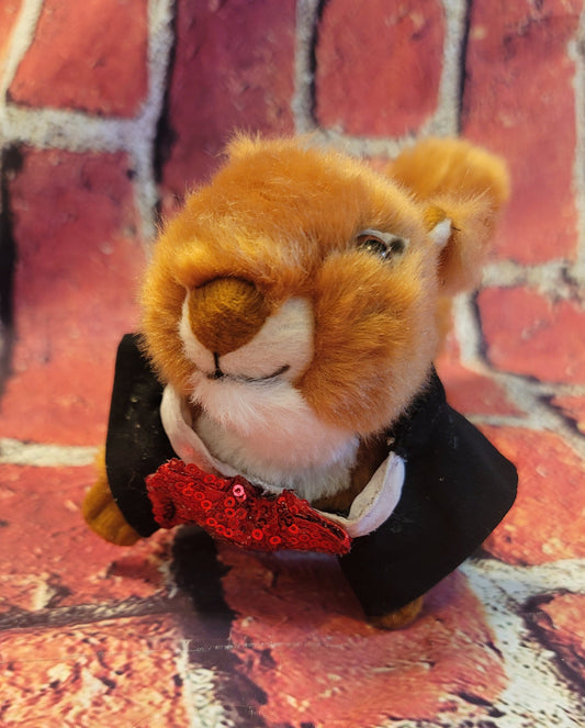 Squirrel Tuxedo, Tuxedo for squirrels, Tuxedo for exotic animals, pet Tuxedo, squirrel clothes