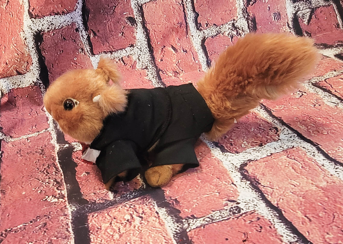 Squirrel Tuxedo, Tuxedo for squirrels, Tuxedo for exotic animals, pet Tuxedo, squirrel clothes
