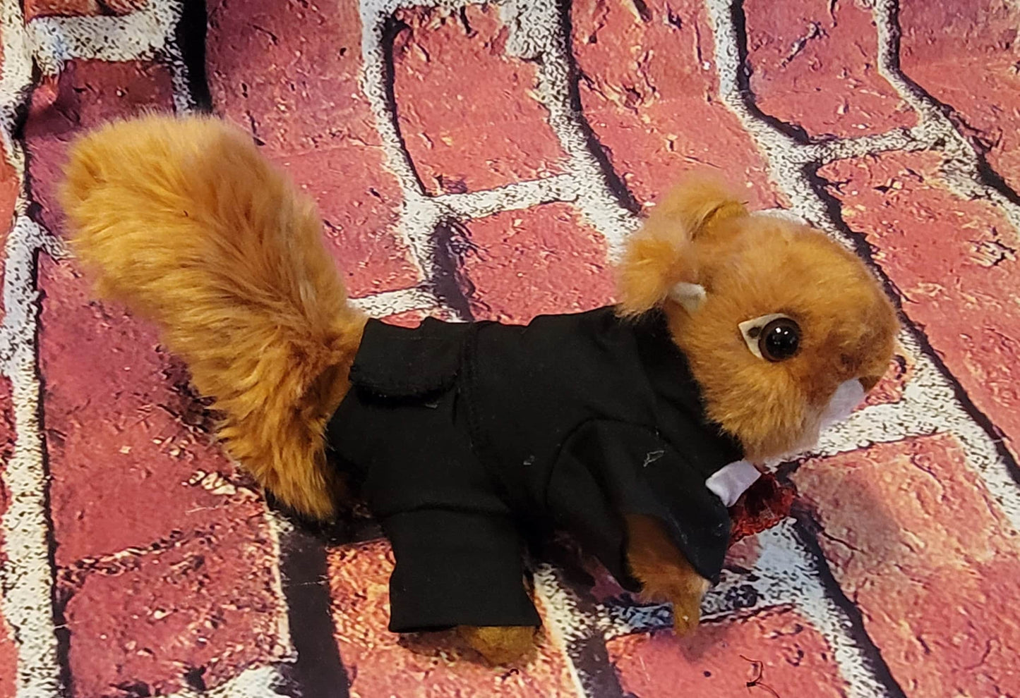 Squirrel Tuxedo, Tuxedo for squirrels, Tuxedo for exotic animals, pet Tuxedo, squirrel clothes