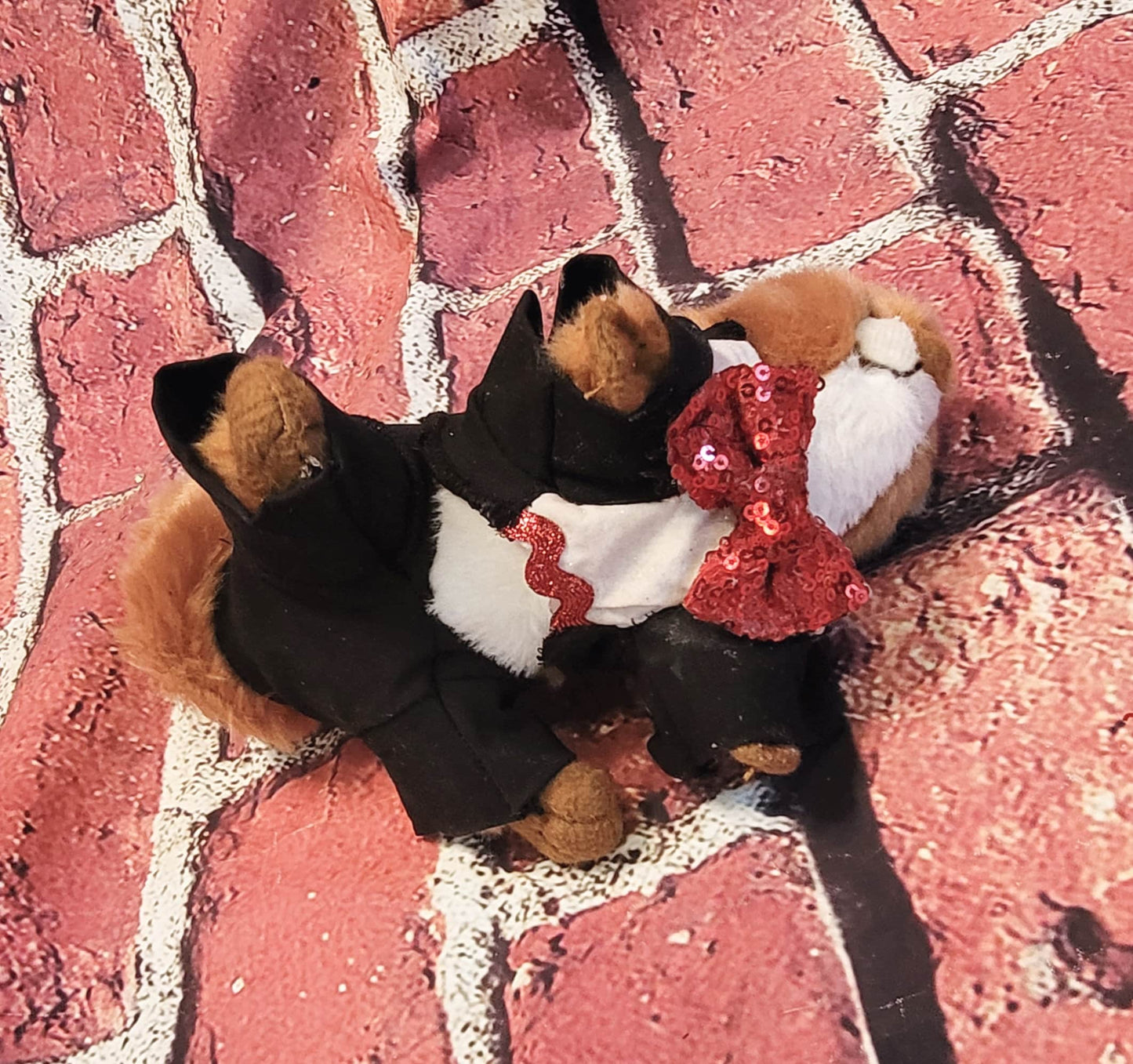 Squirrel Tuxedo, Tuxedo for squirrels, Tuxedo for exotic animals, pet Tuxedo, squirrel clothes