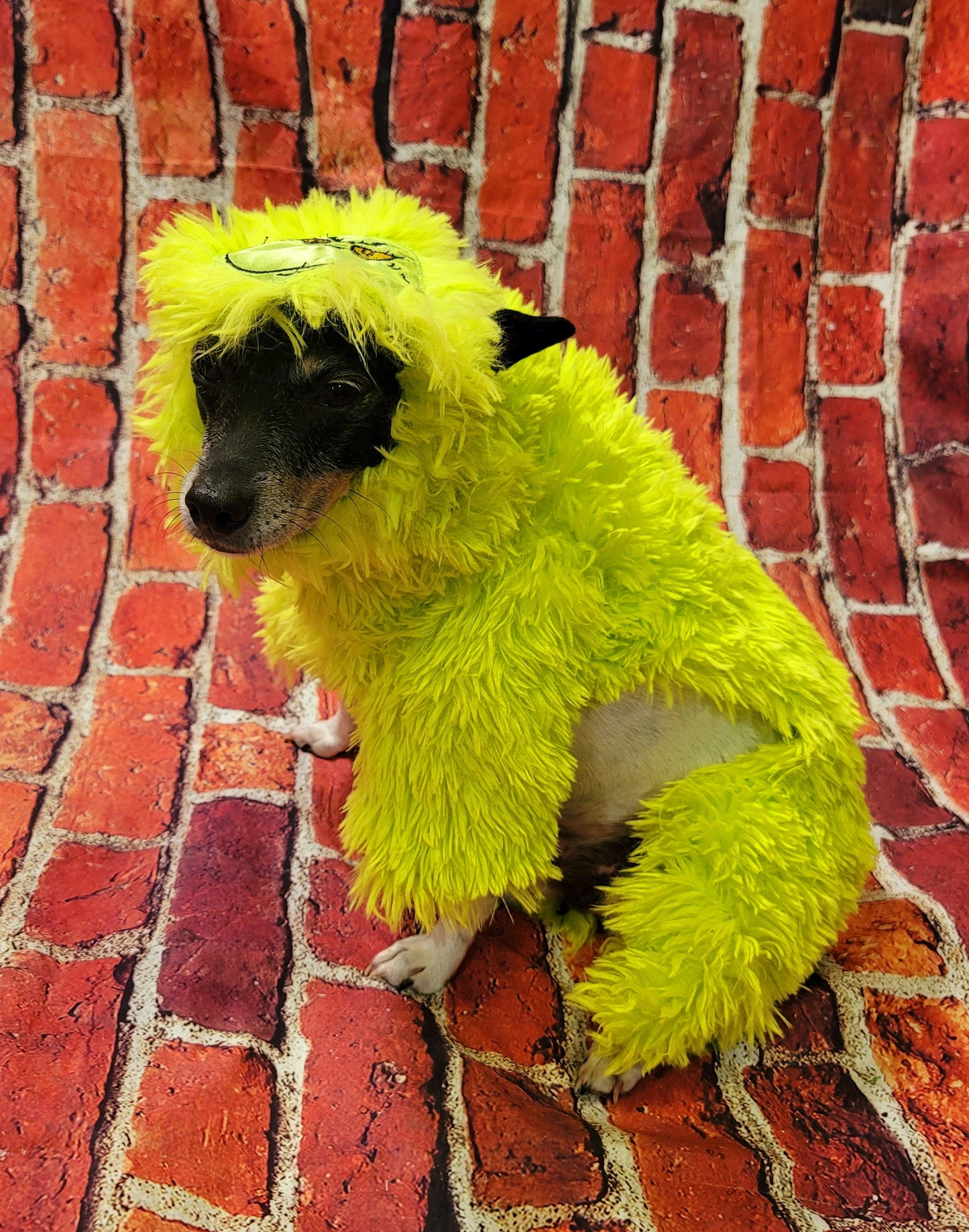 The Grinch pet costume, The Grinch stole Christmas pet costume, Grinch dog costume, Grinch cat costume, The grinch dog costume, pet grinch