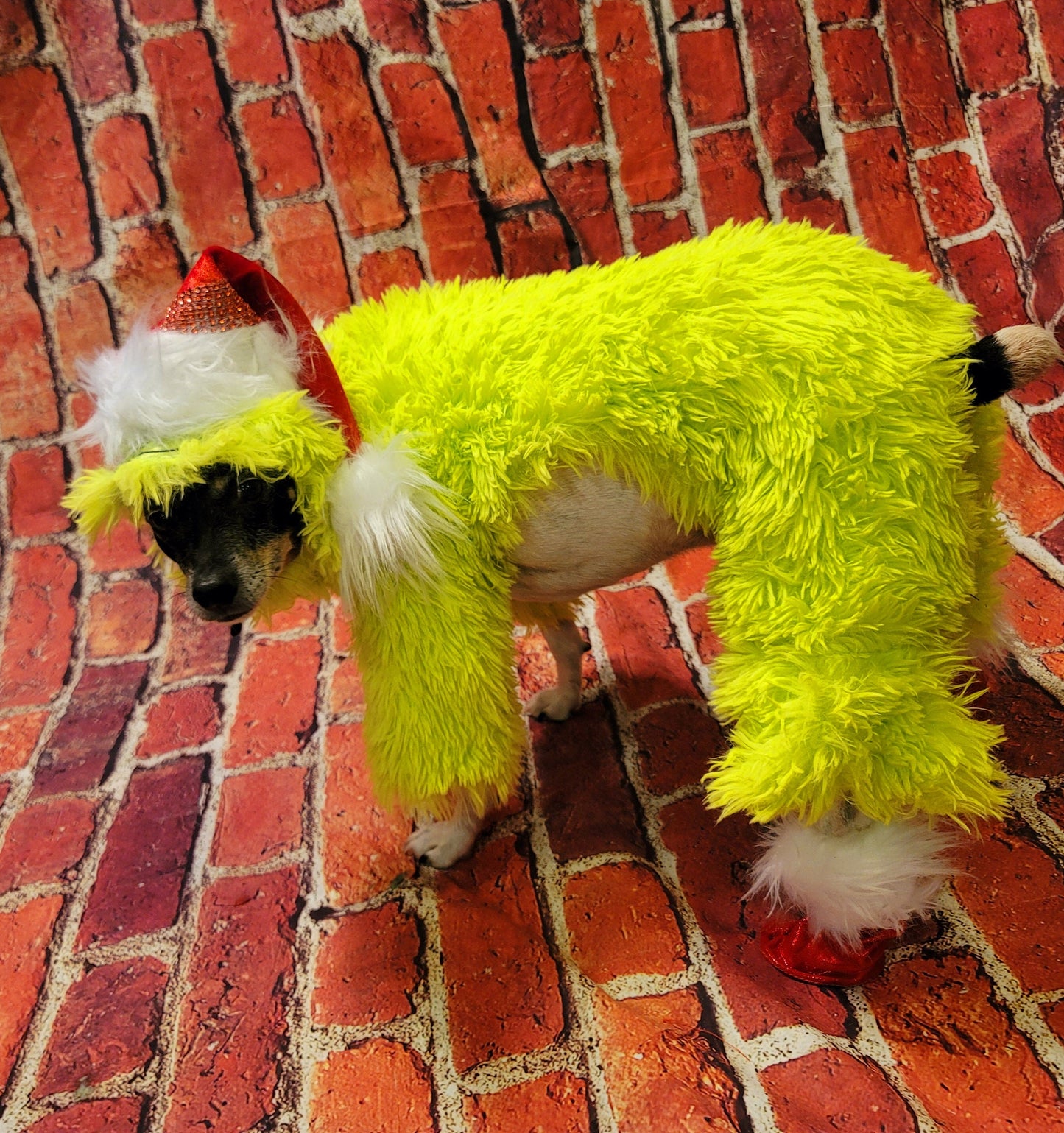The Grinch pet costume, The Grinch stole Christmas pet costume, Grinch dog costume, Grinch cat costume, The grinch dog costume, pet grinch