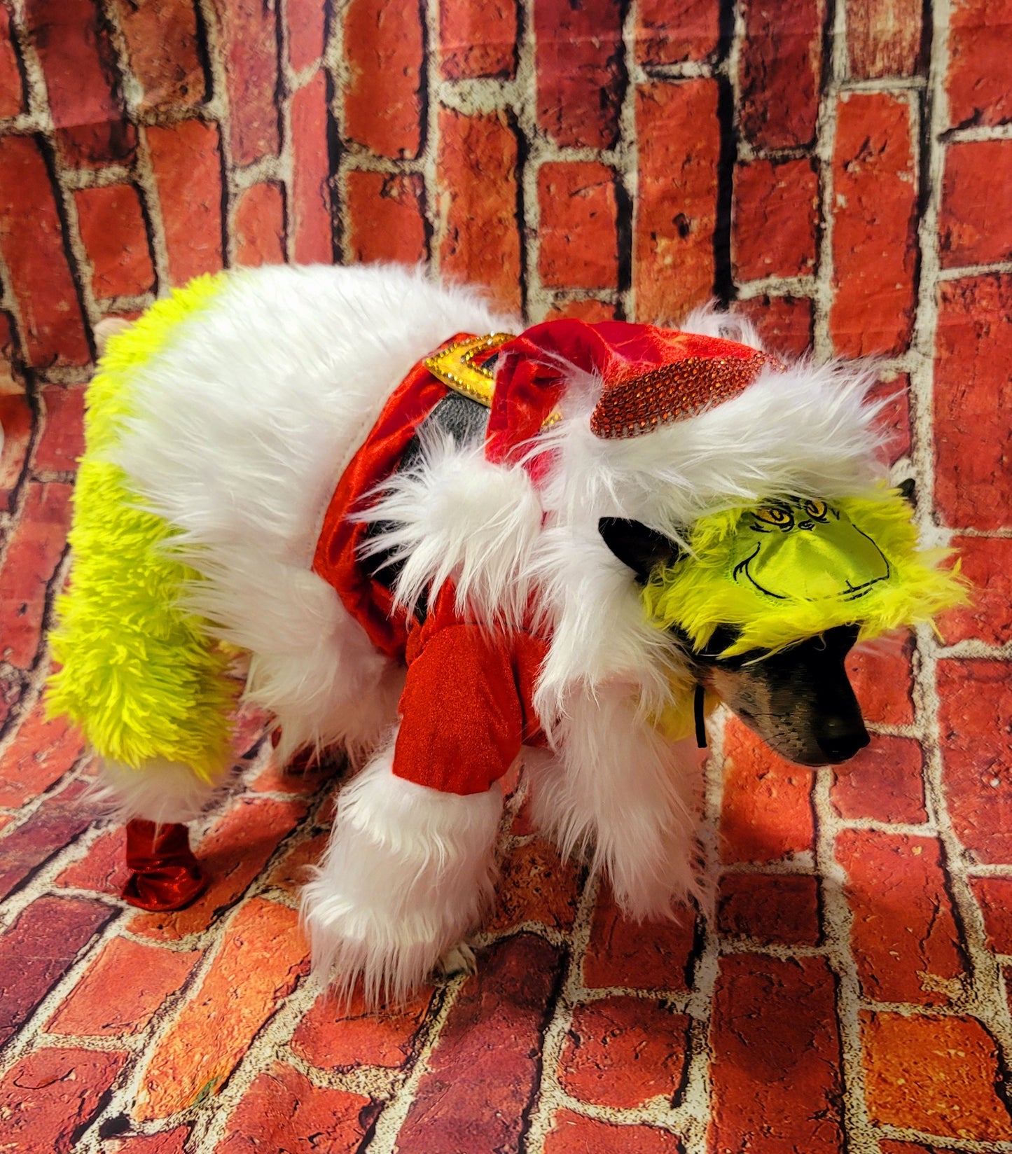 The Grinch pet costume, The Grinch stole Christmas pet costume, Grinch dog costume, Grinch cat costume, The grinch dog costume, pet grinch