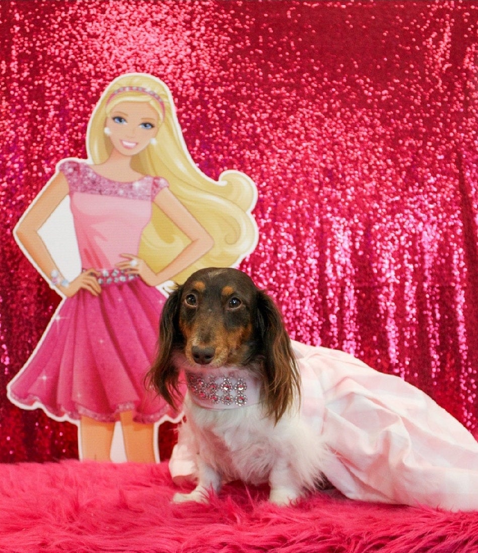 Barbie Pink Gingham Pet Barbie dress, pink gingham dog dress, pink gingham pet dress, Barbie pet dress, Halloween Pet costume, dog costume
