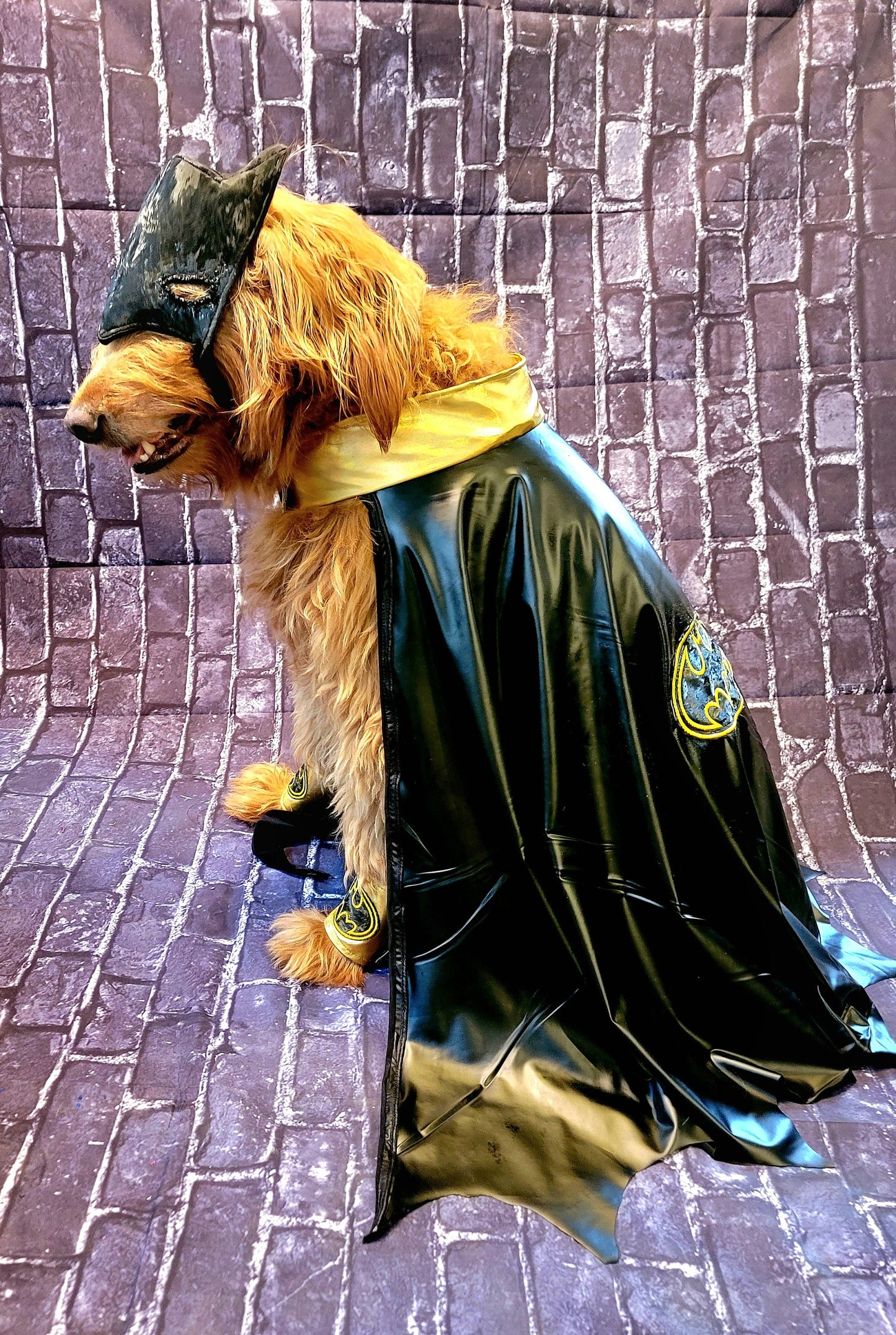 Batman pet costume, Batman dog costume, Batman cat costume, Batman pet cape, Batman Halloween costume, pet Batman, dog Batman costume