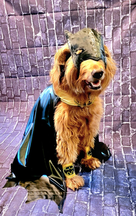 Batman pet costume, Batman dog costume, Batman cat costume, Batman pet cape, Batman Halloween costume, pet Batman, dog Batman costume